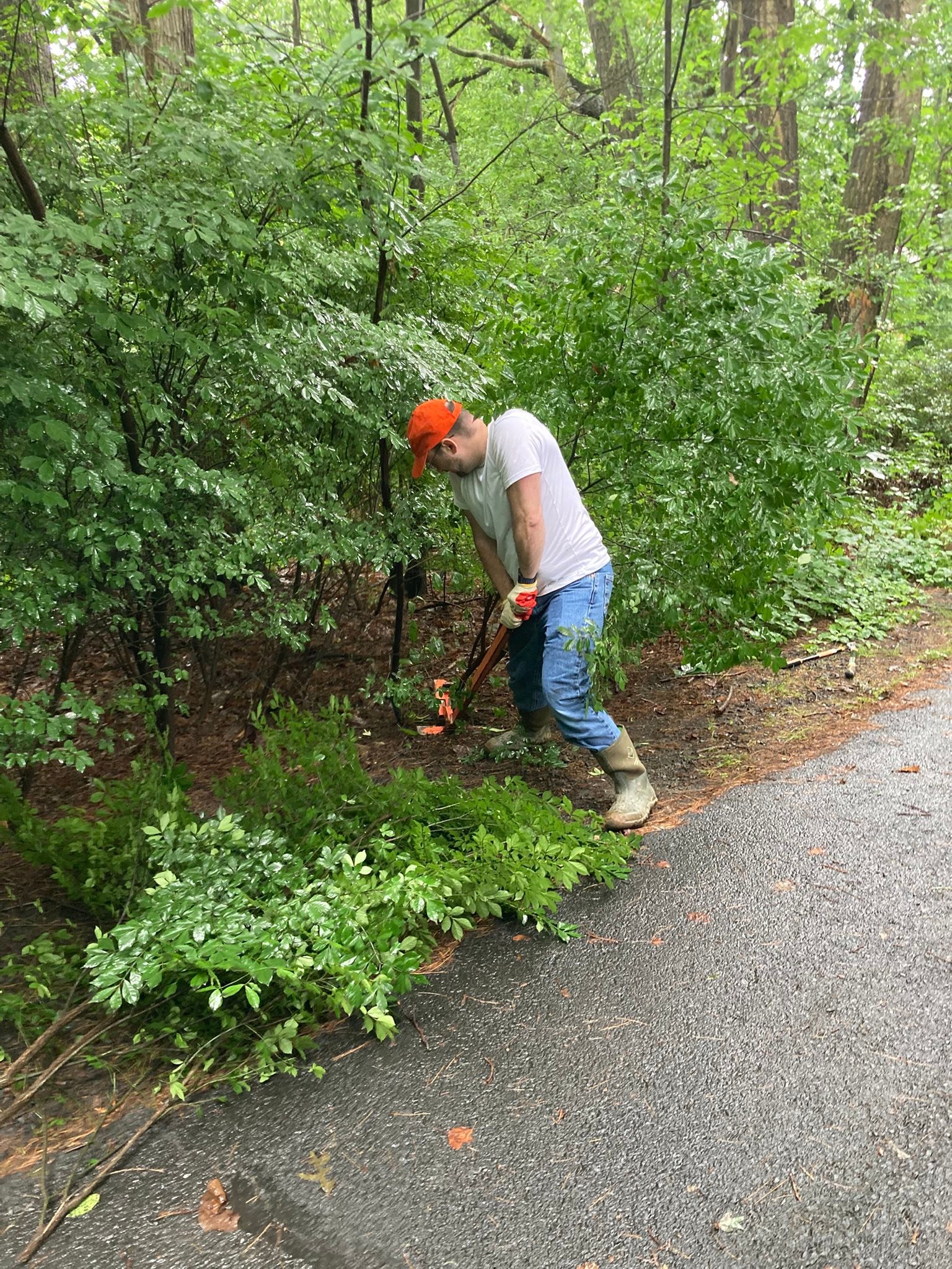 Volunteer Reston | Reston VA