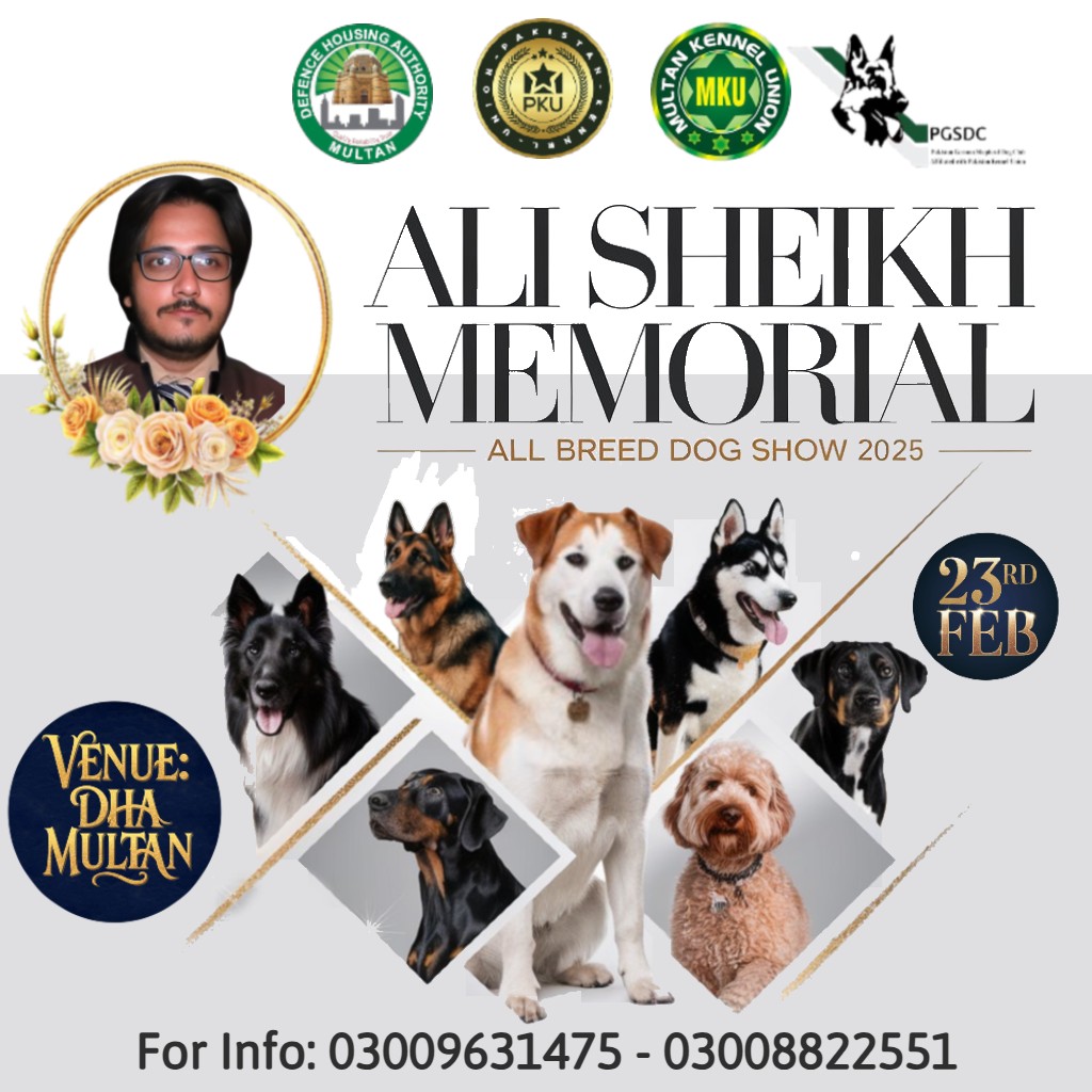 Happy Pets | Multan