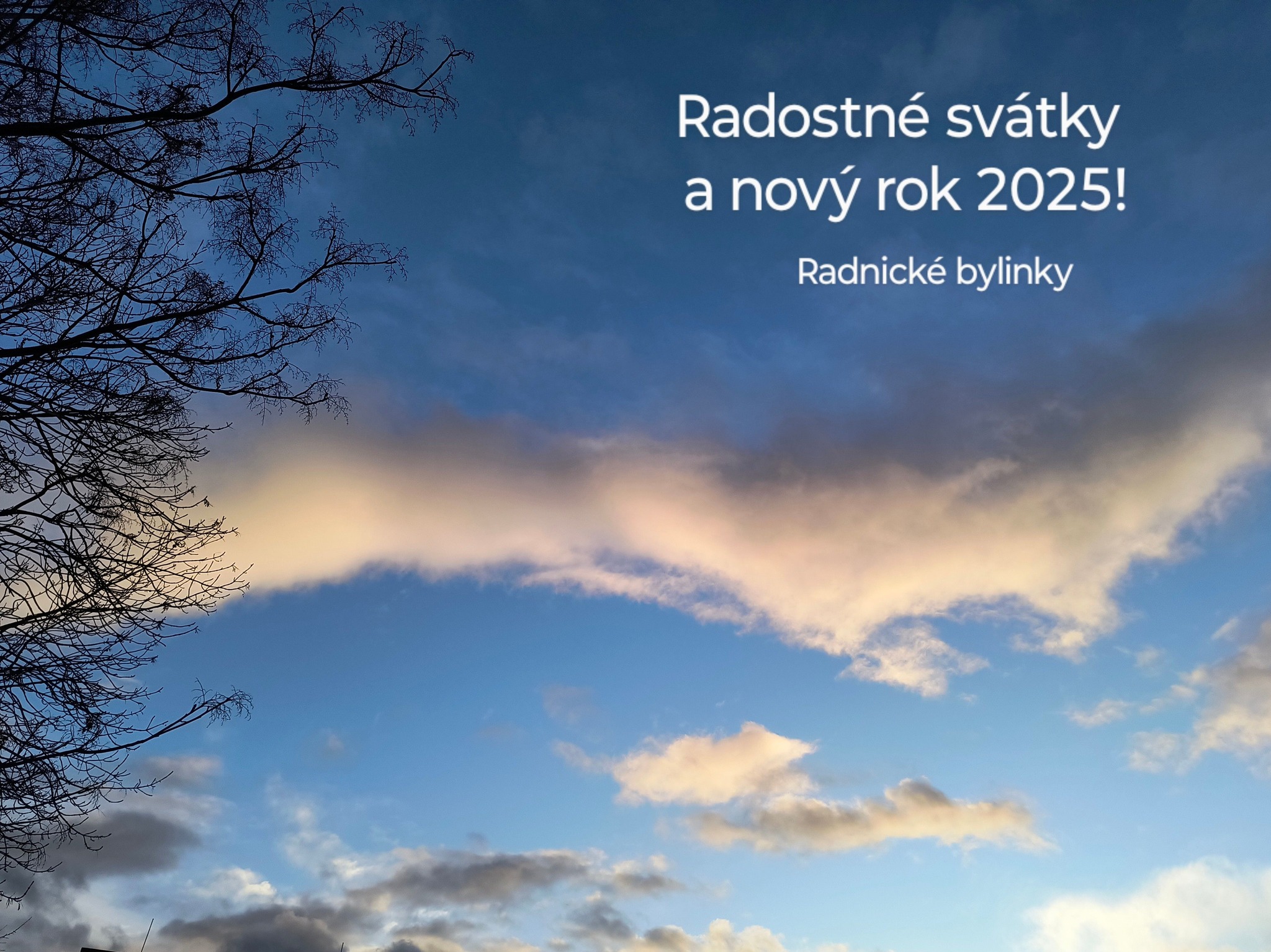 Radnické bylinky | Radnice