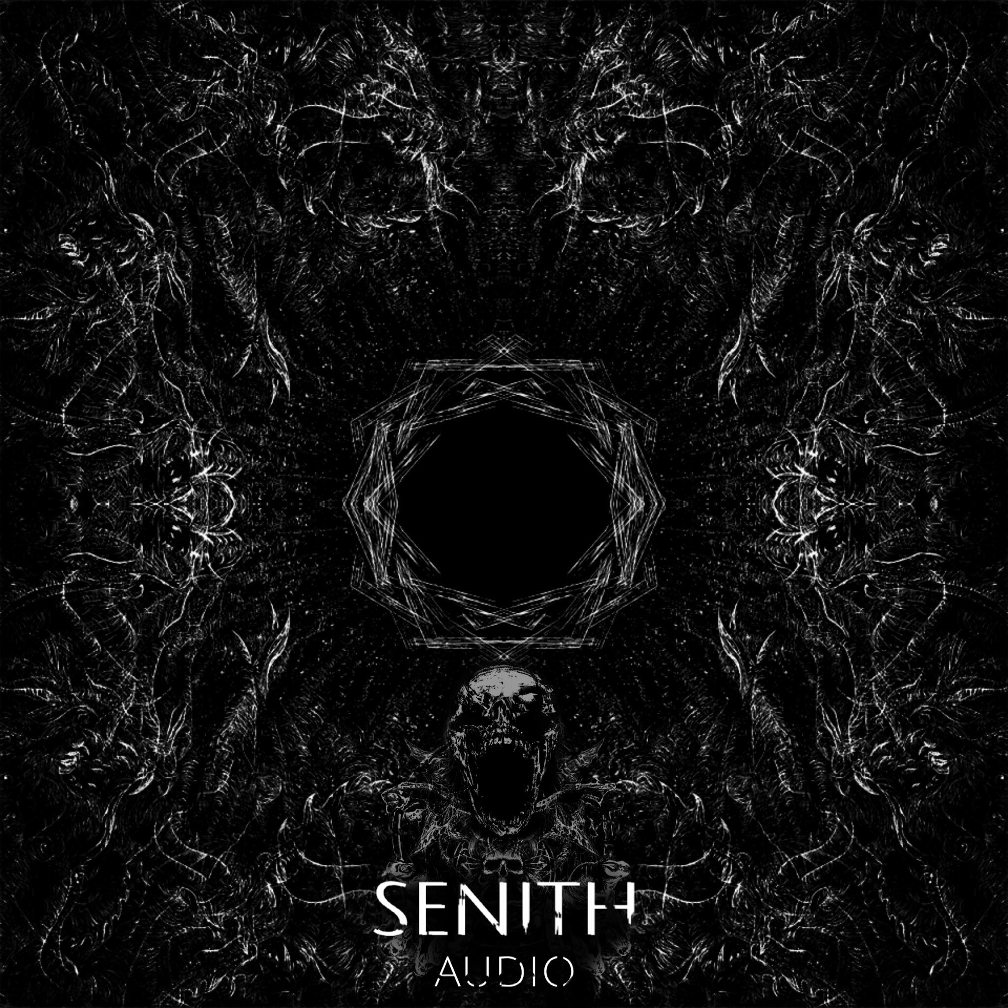 Senith Audio - Our first project is currently in the making.