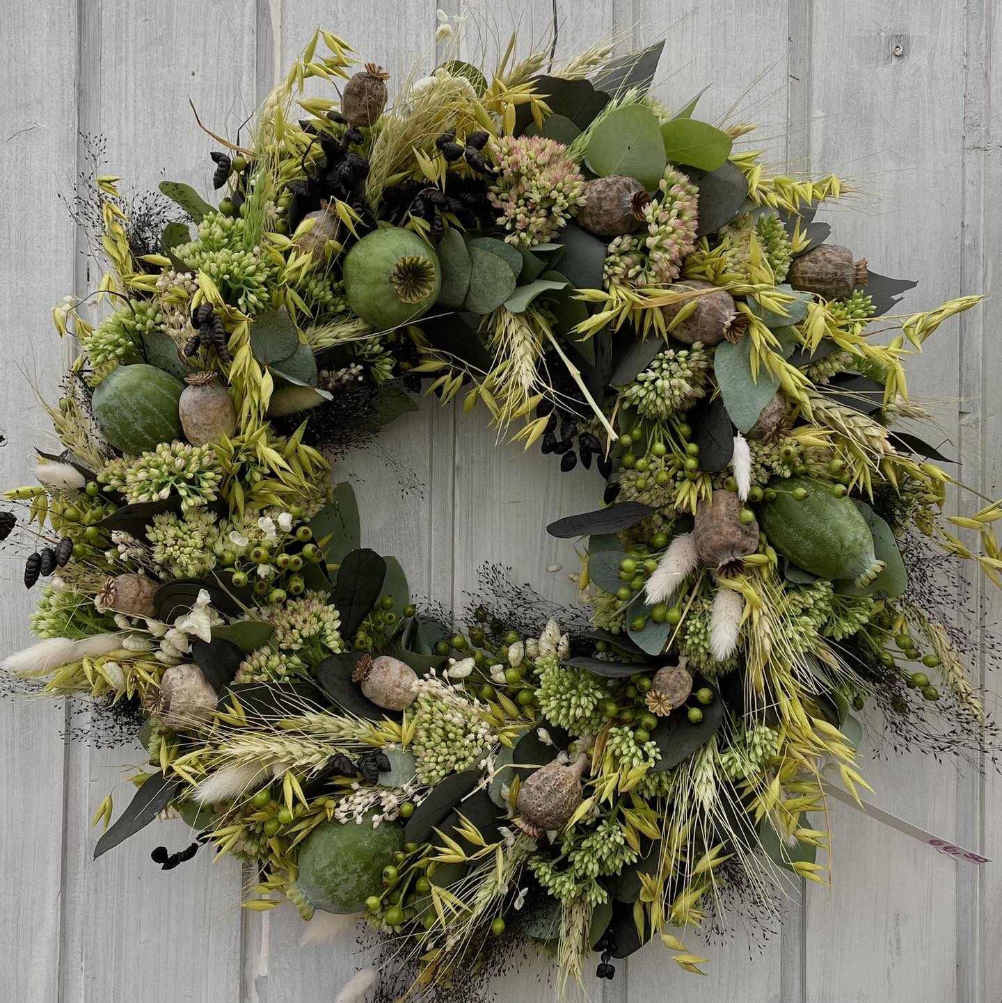 Ein Hauch von Natur an jeder Tür 🌿✨ Entdecke unsere zauberhaften Türkränze! #Türkränze #Naturschönheit #türkranz #türkranz #türkranzselfmade #türkränze #türkranzselbstgemacht #türkranzherbst #herbsttür #herbsttürkranz