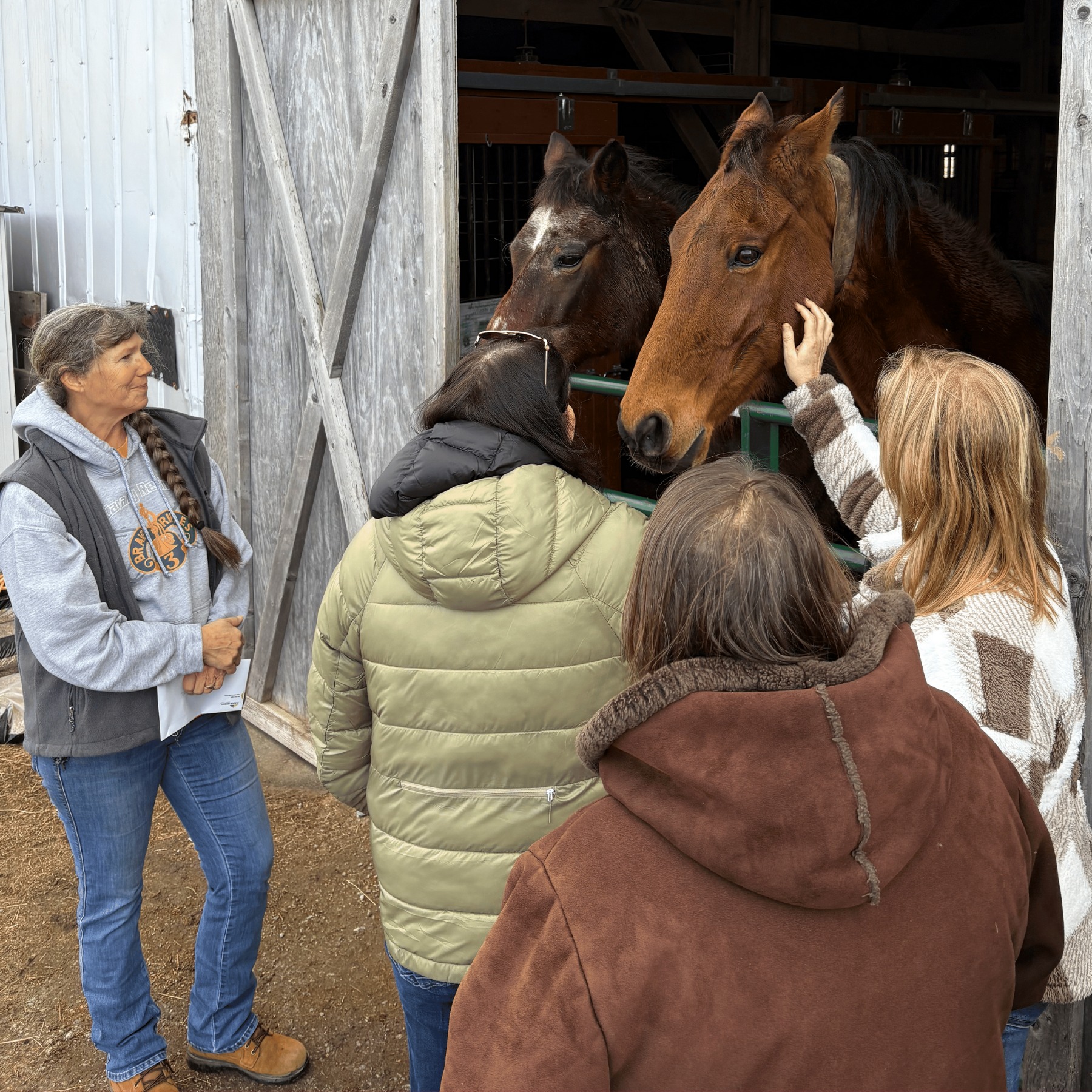 Therapeion Therapeutic Riding Program | Monticello IN