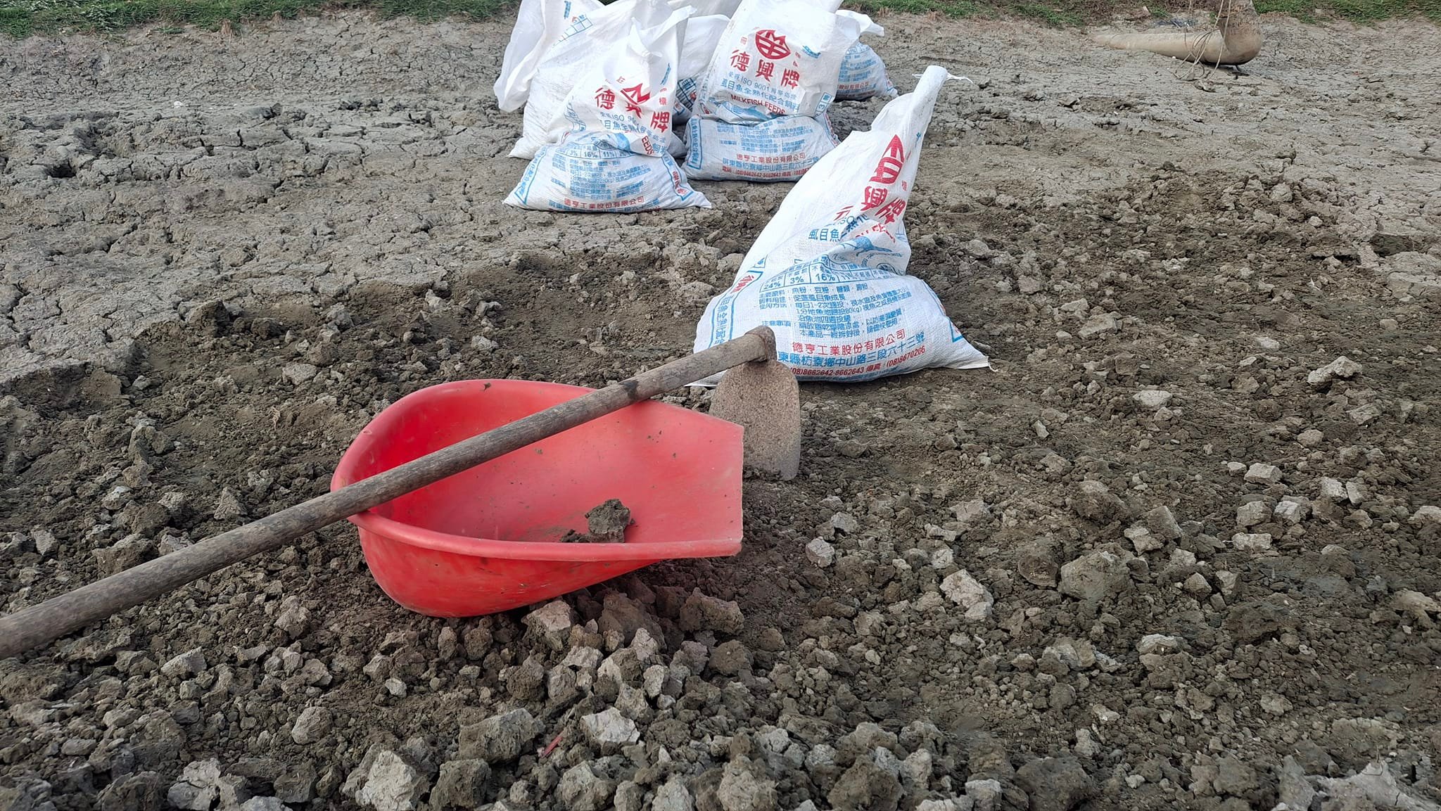祖孫蝦 - 一年一度的堆土包開始了..... 祖孫蝦池的養殖水大多來自嘉南大圳的灌溉水喔～... | Facebook
