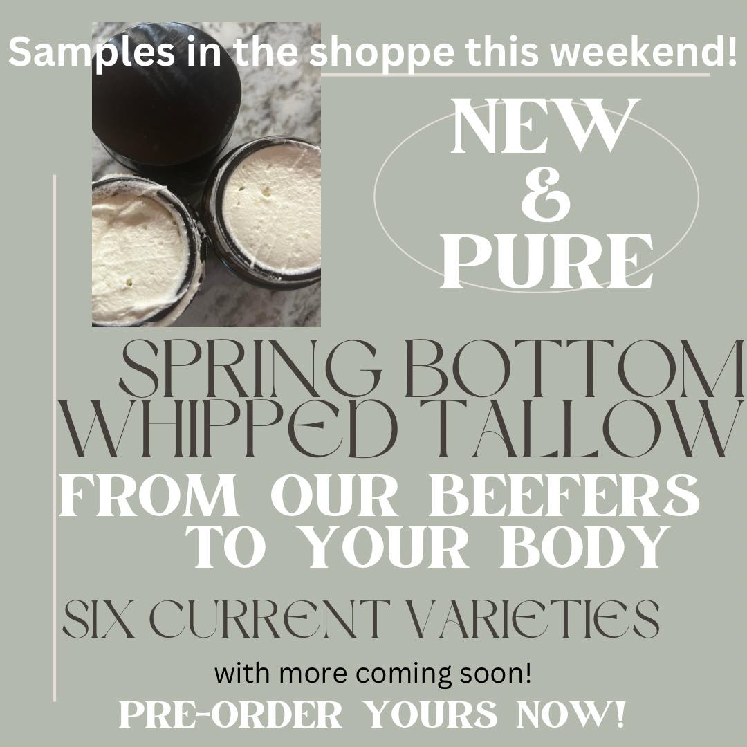 Spring - 🎉INTRODUCING our first PURE AND LOCAL BEEF BALM batches! And ...