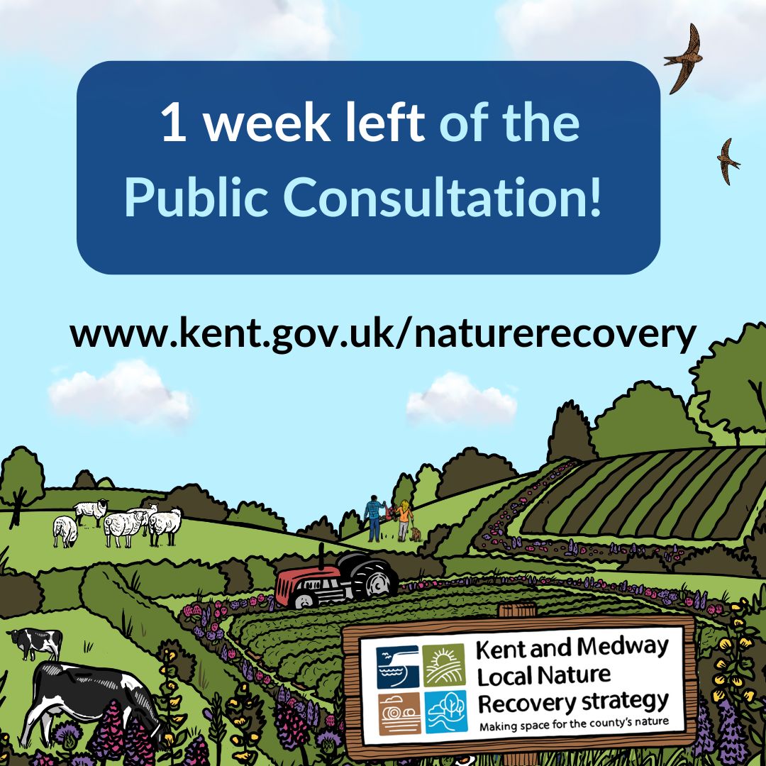 Kent - The public consultation for the Kent and Medway Local Nature ...