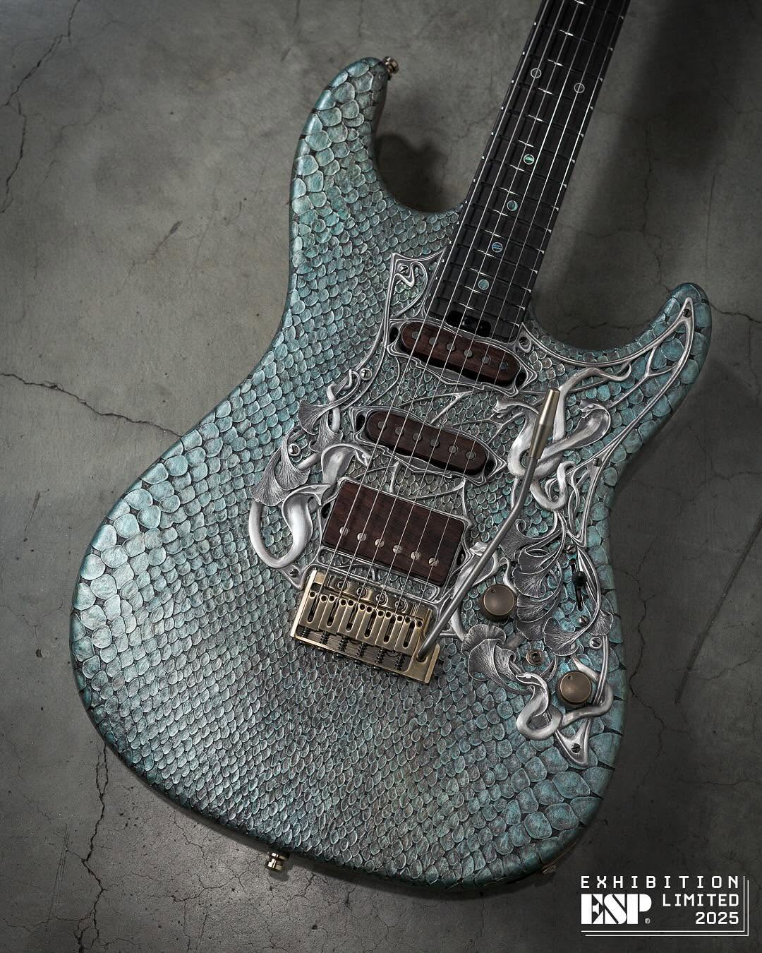 EX25-11 HORIZON-CTM FR #espguitars #espguitarsjapan