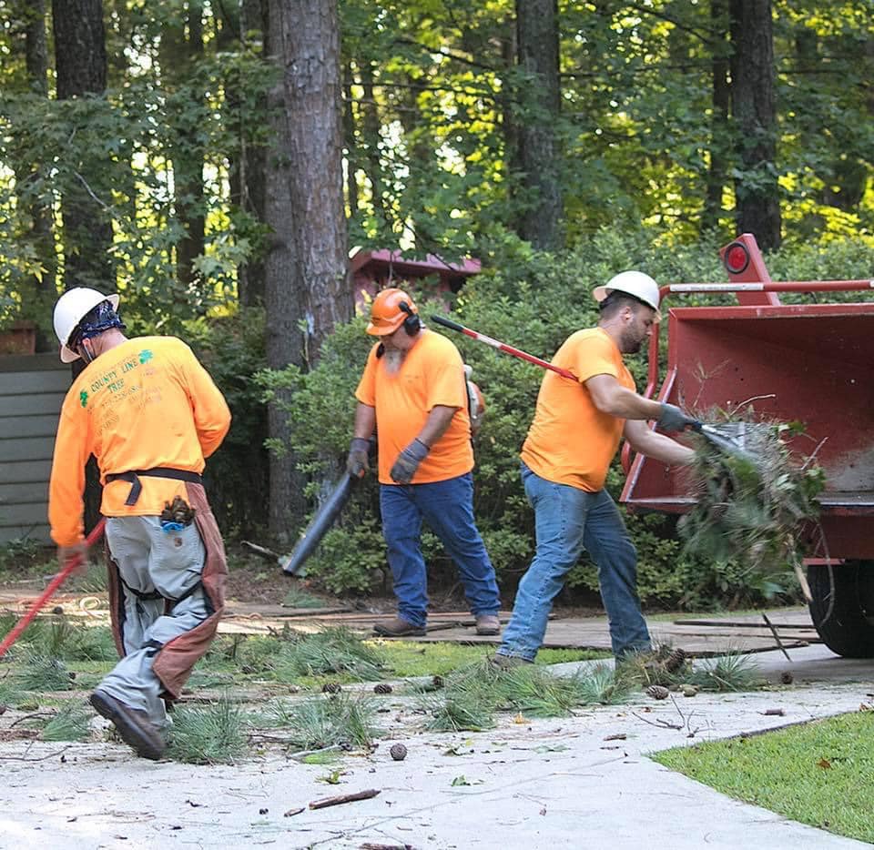 County Line Tree Service | Griffin GA