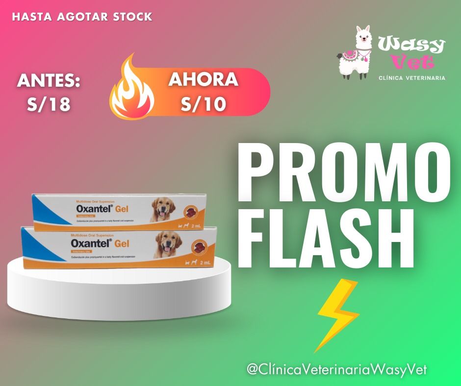 Clínica Veterinaria Wasy Vet - Antiparasitario en gel para felinos y ...