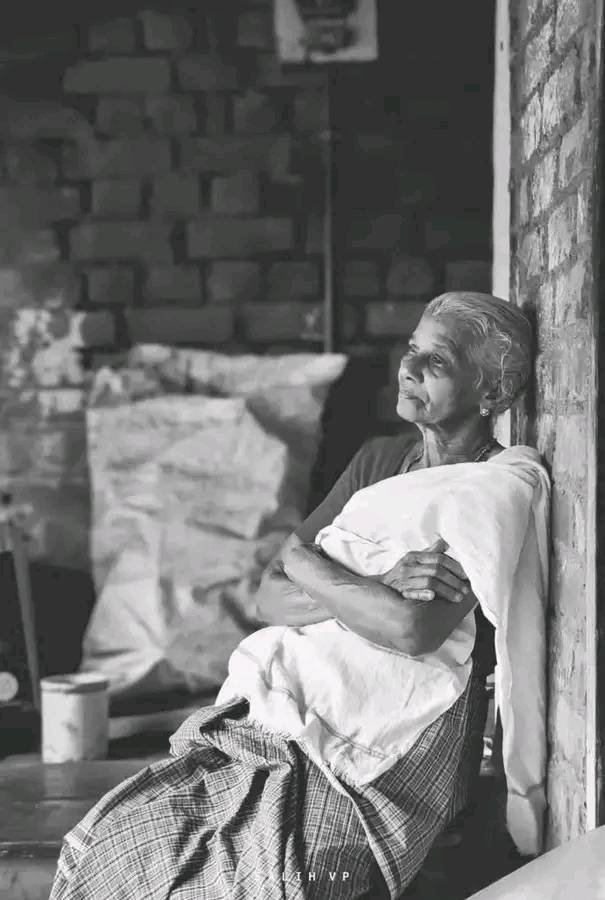 Areeba Rao