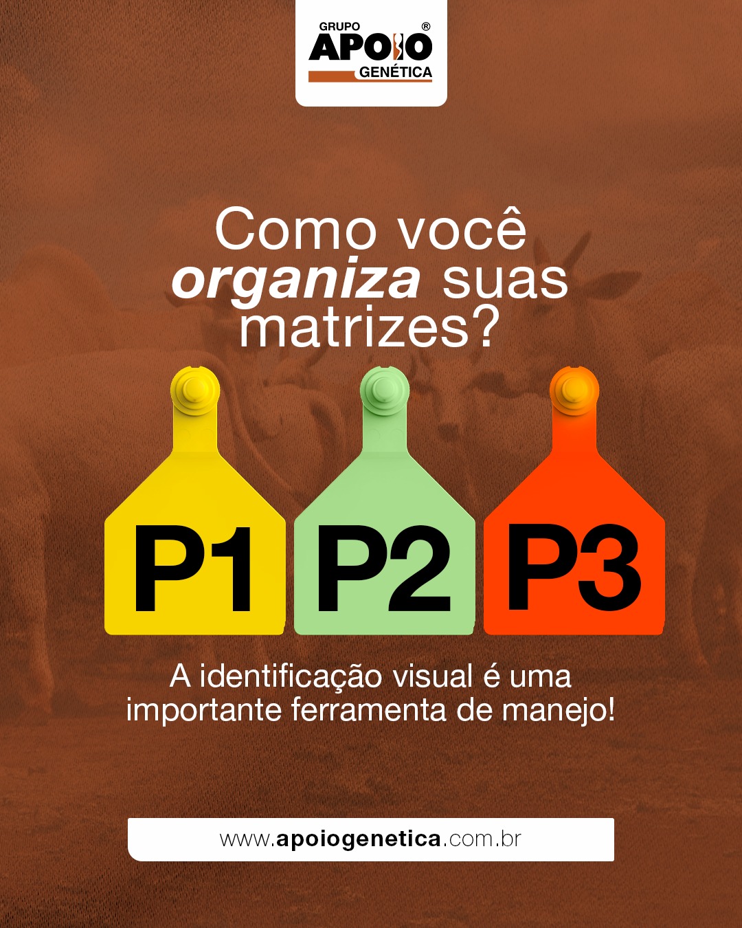 Grupo Apoio Genética - 💥 LANÇAMENTO APOIO GENÉTICA 💥 Acompanhe o ...