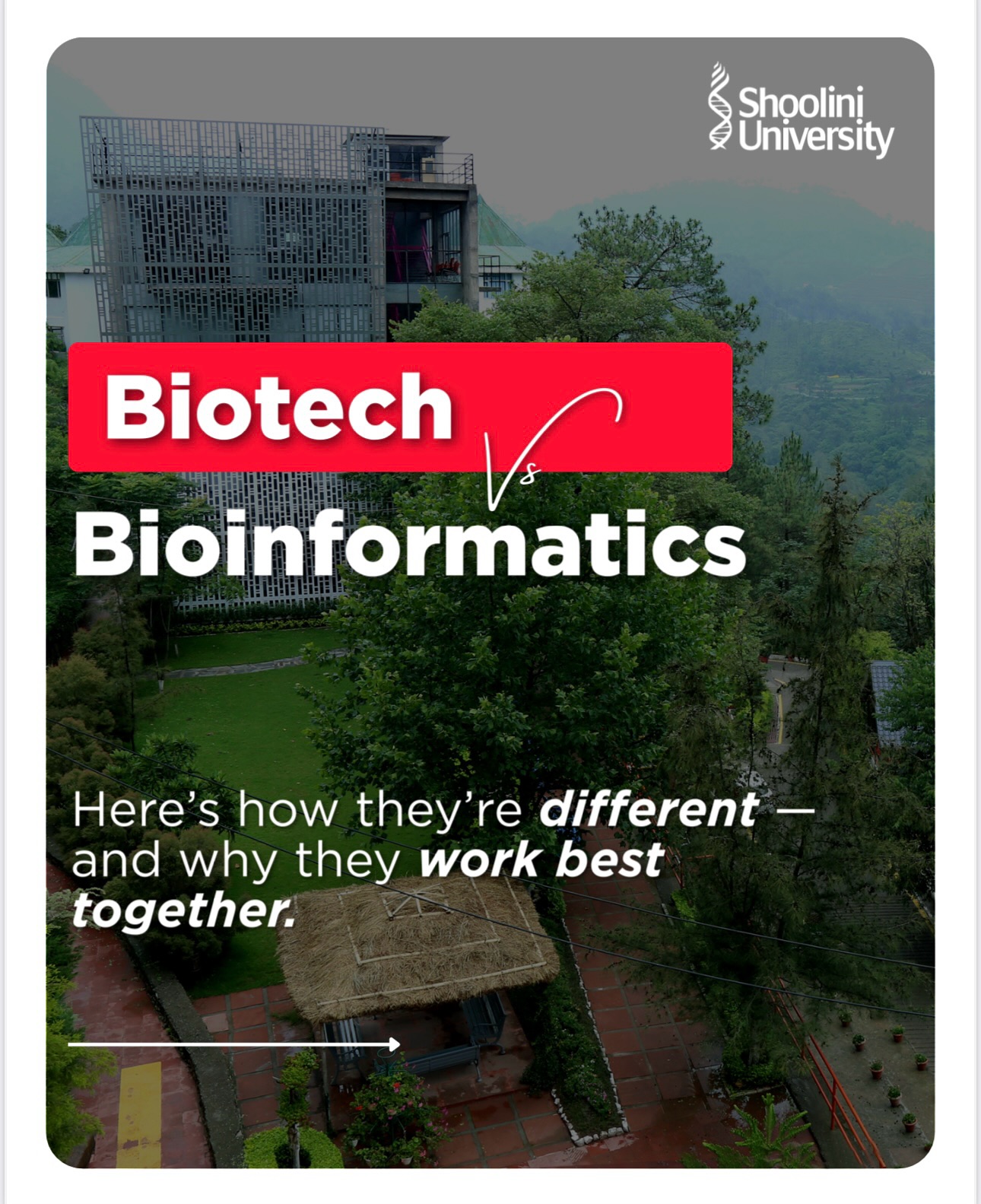 Shoolini University | Solan