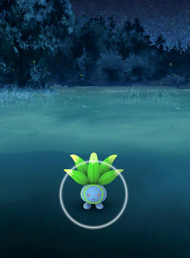 Edith the Chihuahua - OMD... Mommy gotz herz handz on that Pokemonz Go ...