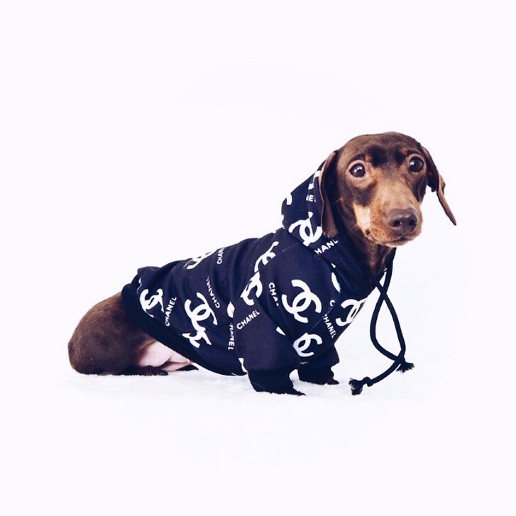 Paws Unit