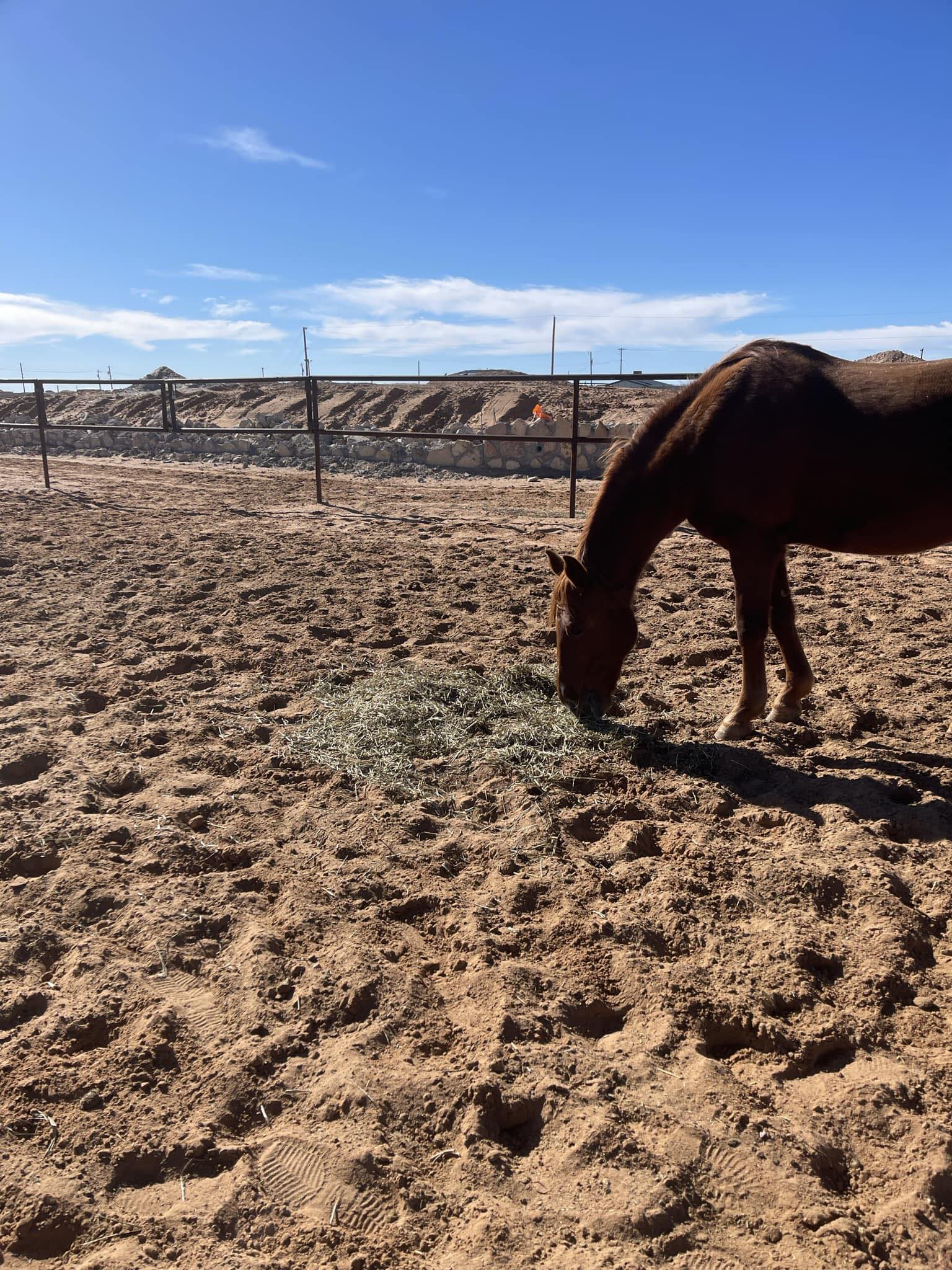 Torres Ranch | El Paso TX