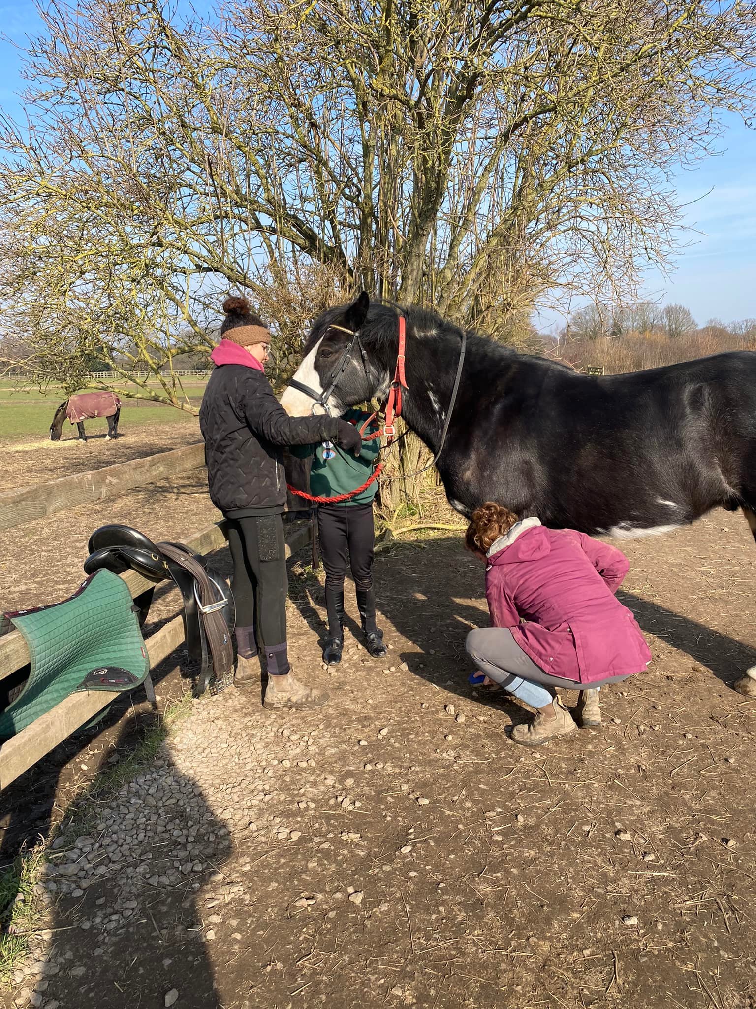 Horse Rangers Association (Hampton Court)