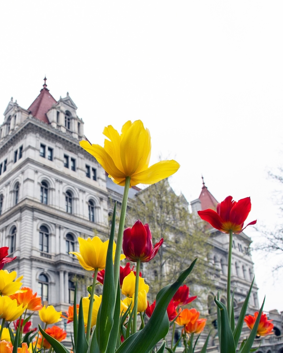 New York State Office of General Services | Albany NY