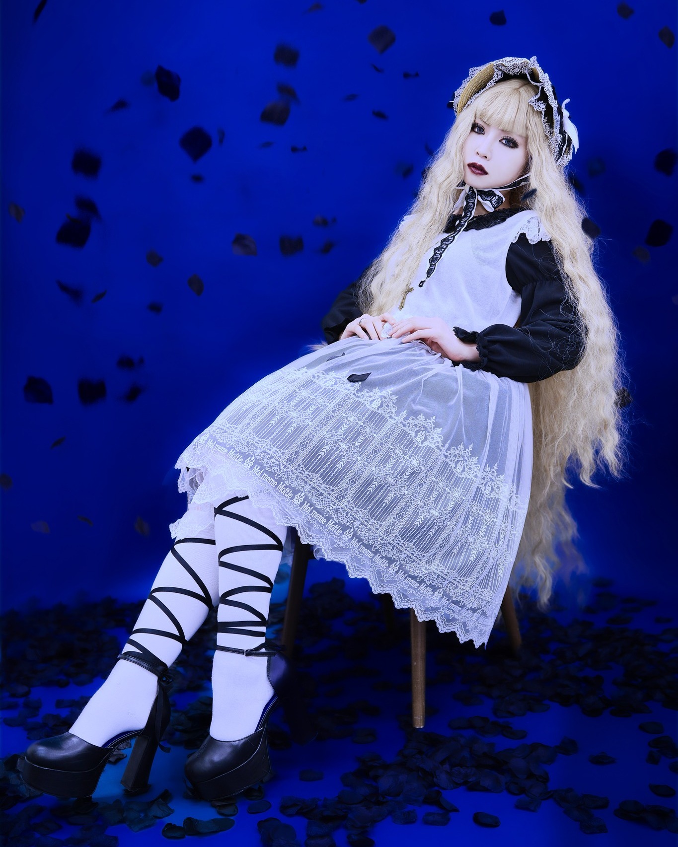 ?New Product Information? 【 Release 】 2025/3/14 at 18:00 JST 