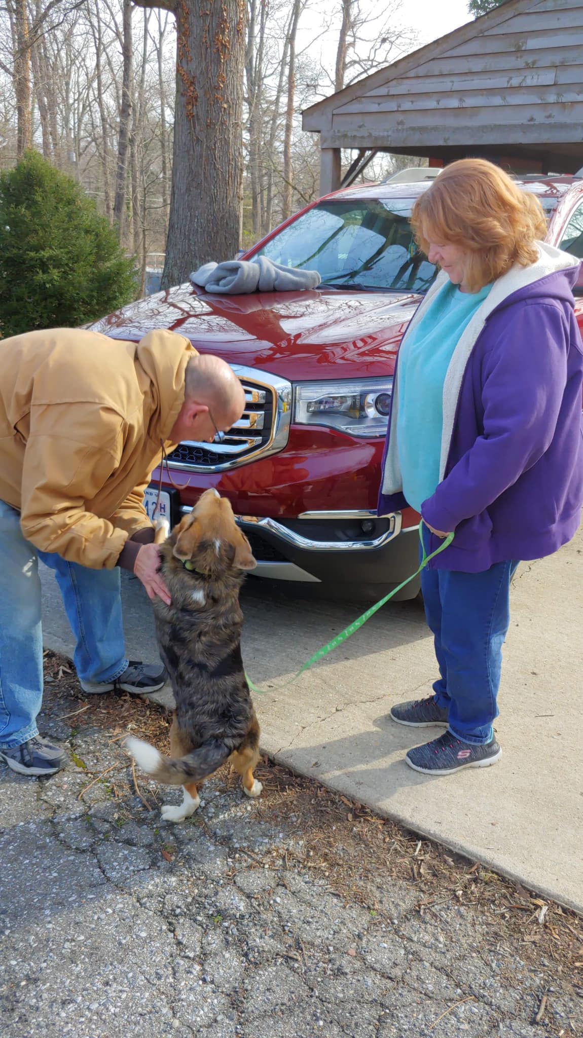 Colson's Corner - !!!! FANCY HAS BEEN FOUND !!! Story... | Facebook