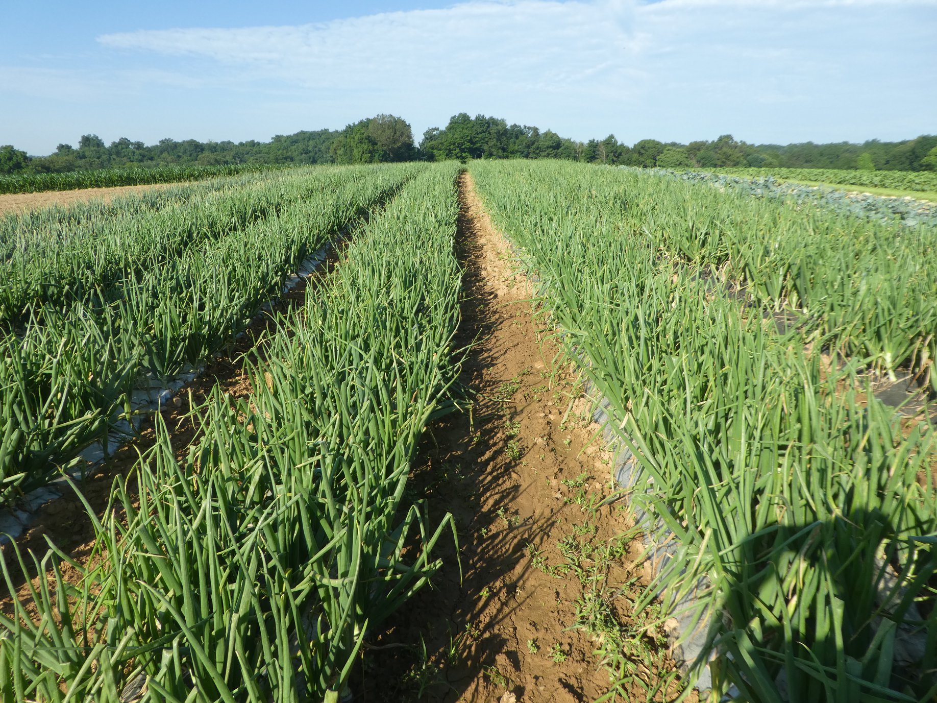 Keystone Bio-Ag