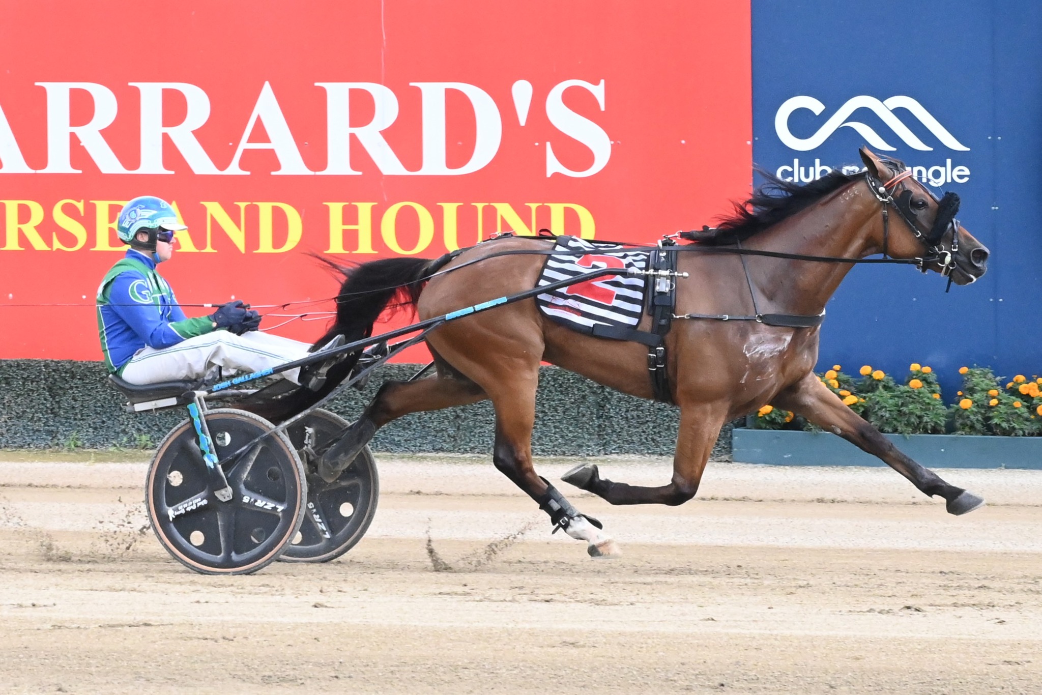 Club Menangle - A race-to-race training double for... | Facebook