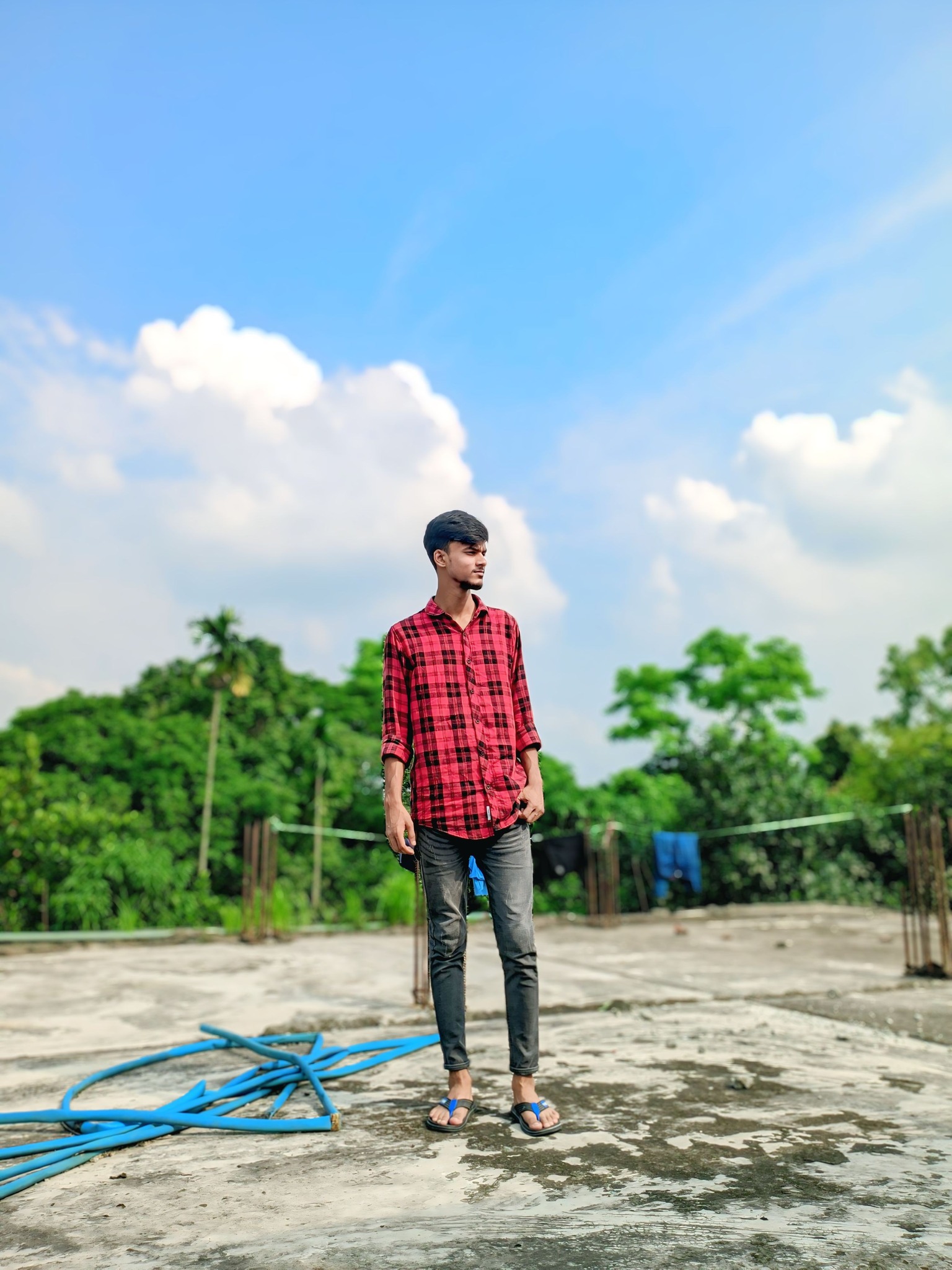 S H E M O L ツ