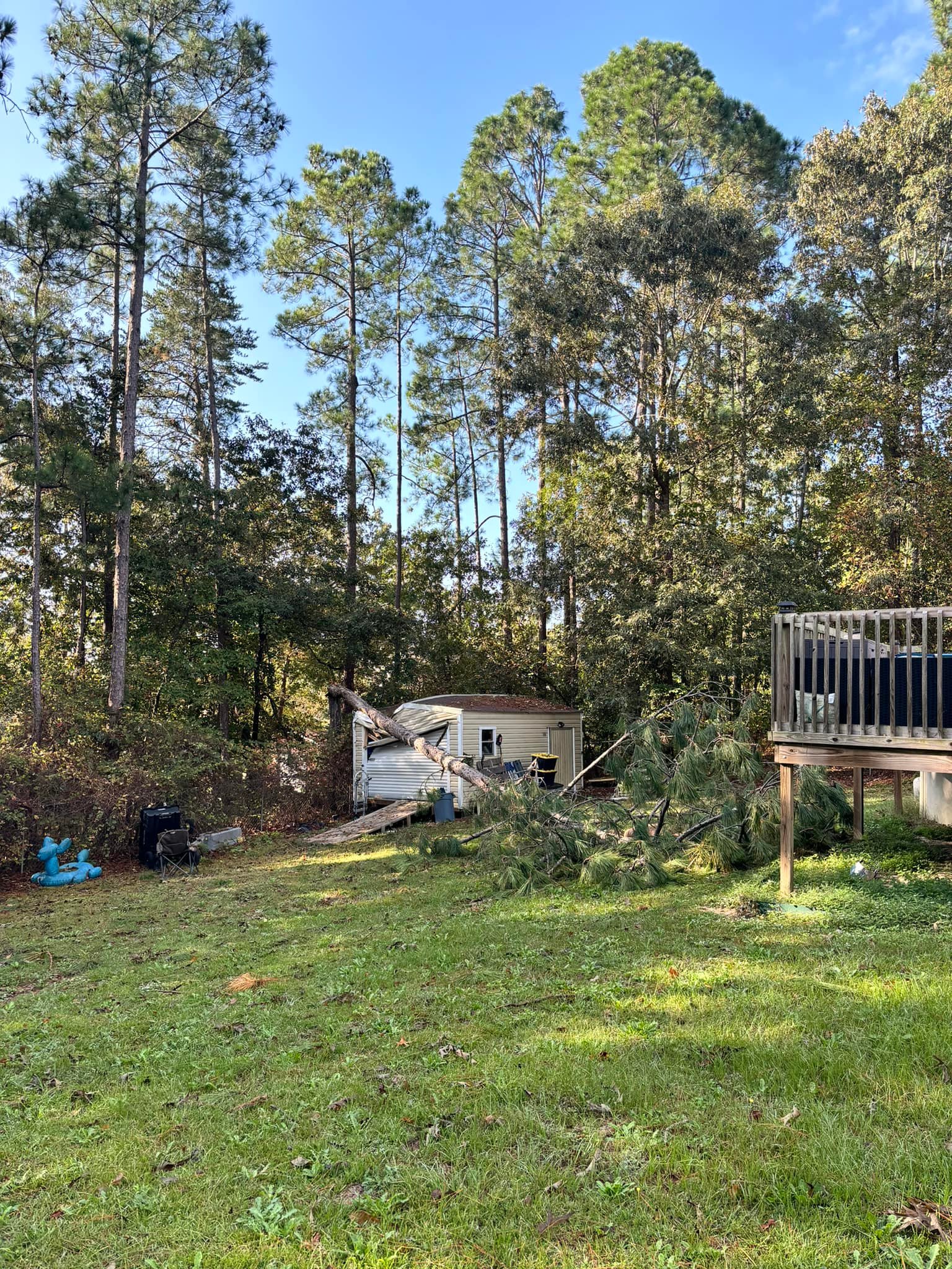 Cutting Edge Stump Grinding & Tree Removal LLC