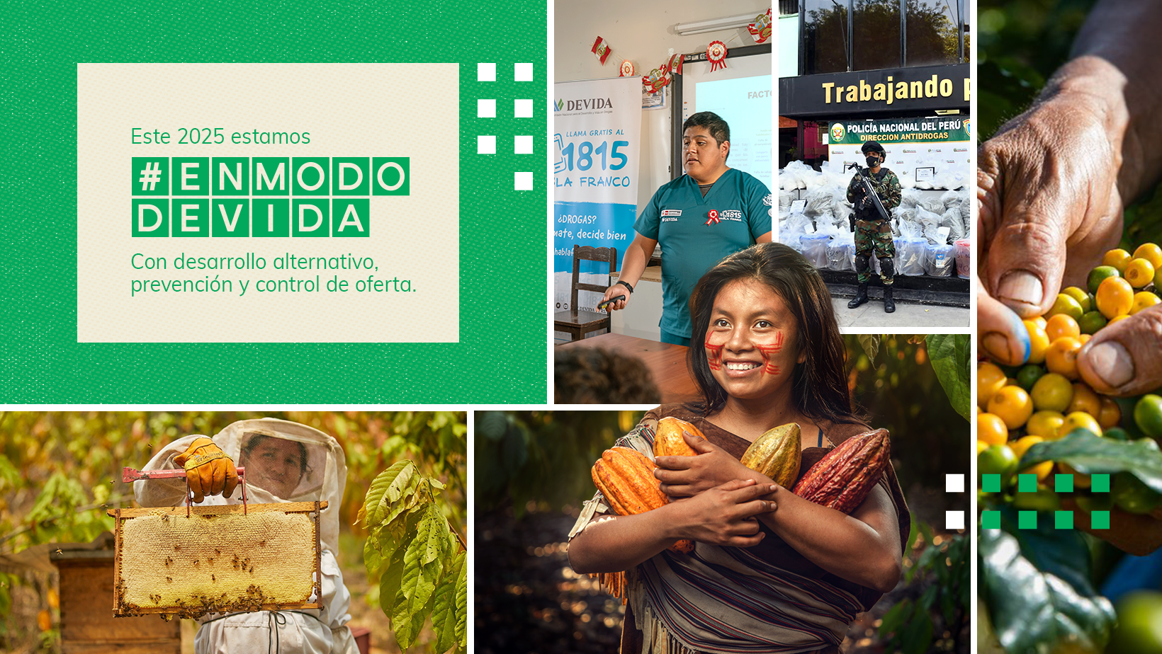 DEVIDA PERÚ | Lima