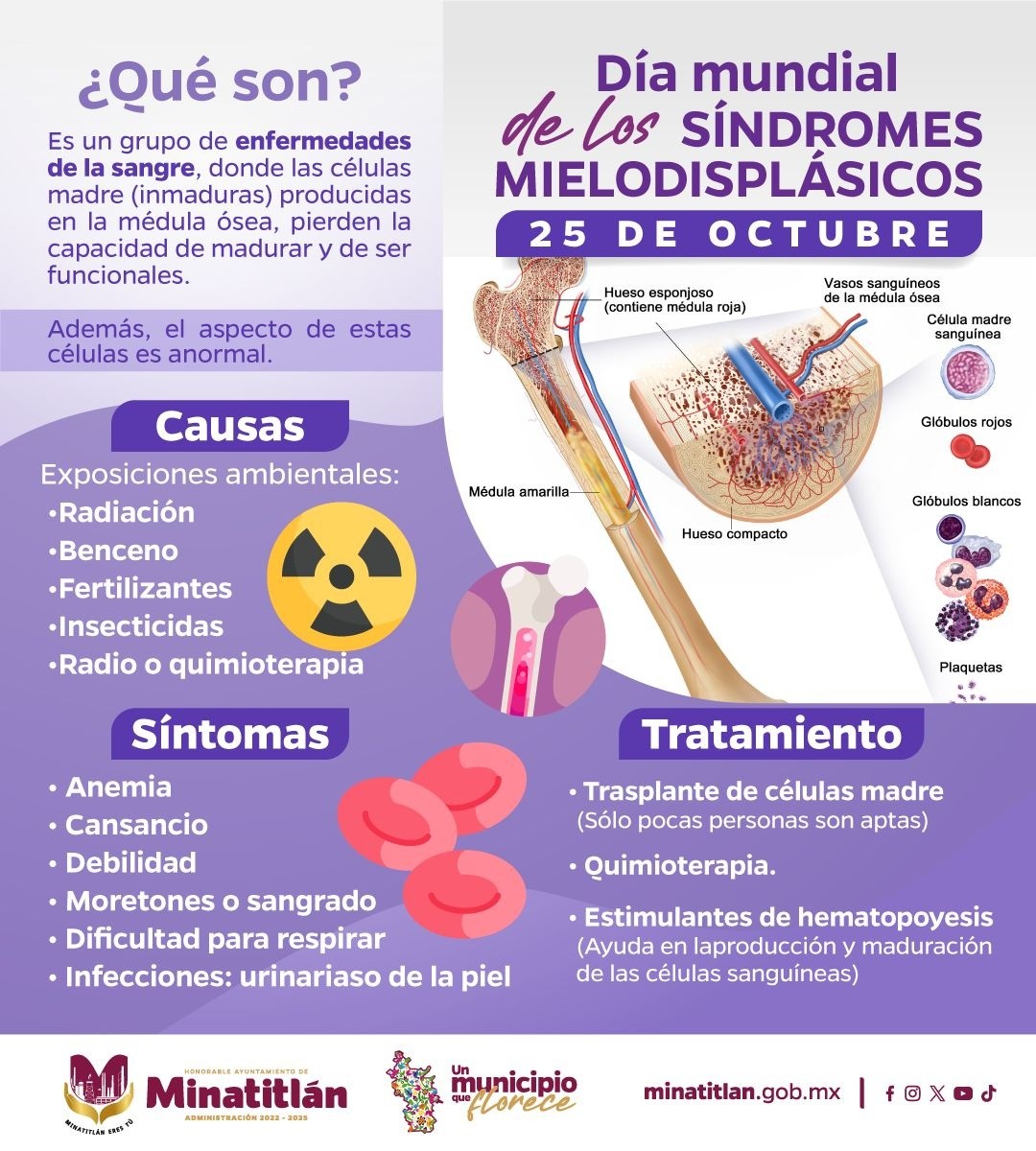 H. Ayuntamiento - ¡Conoce y Apoya! 🤝 25 de Octubre, se conmemora el Día ...