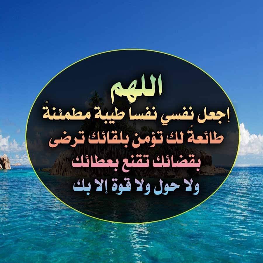 أهل القرآن وخاصته - ⚠ ::: - #ﻫــــــــــﺎﻡ_ﺟــــــــــﺪﺍ - ::: ⚠ ...