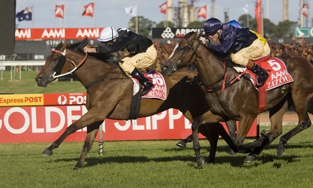 Lee Freedman Racing | Gold Coast QLD