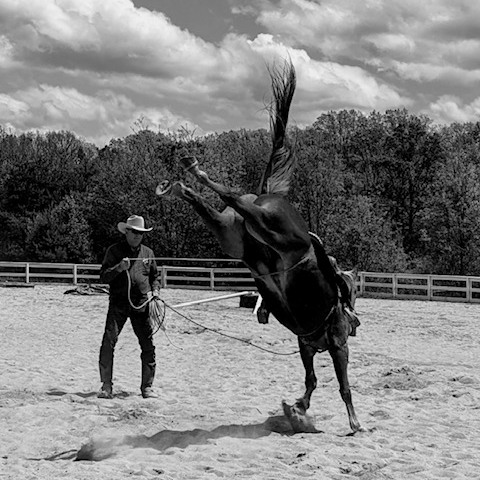 Jesse Lopez with Robertson Stables at Queeny Park