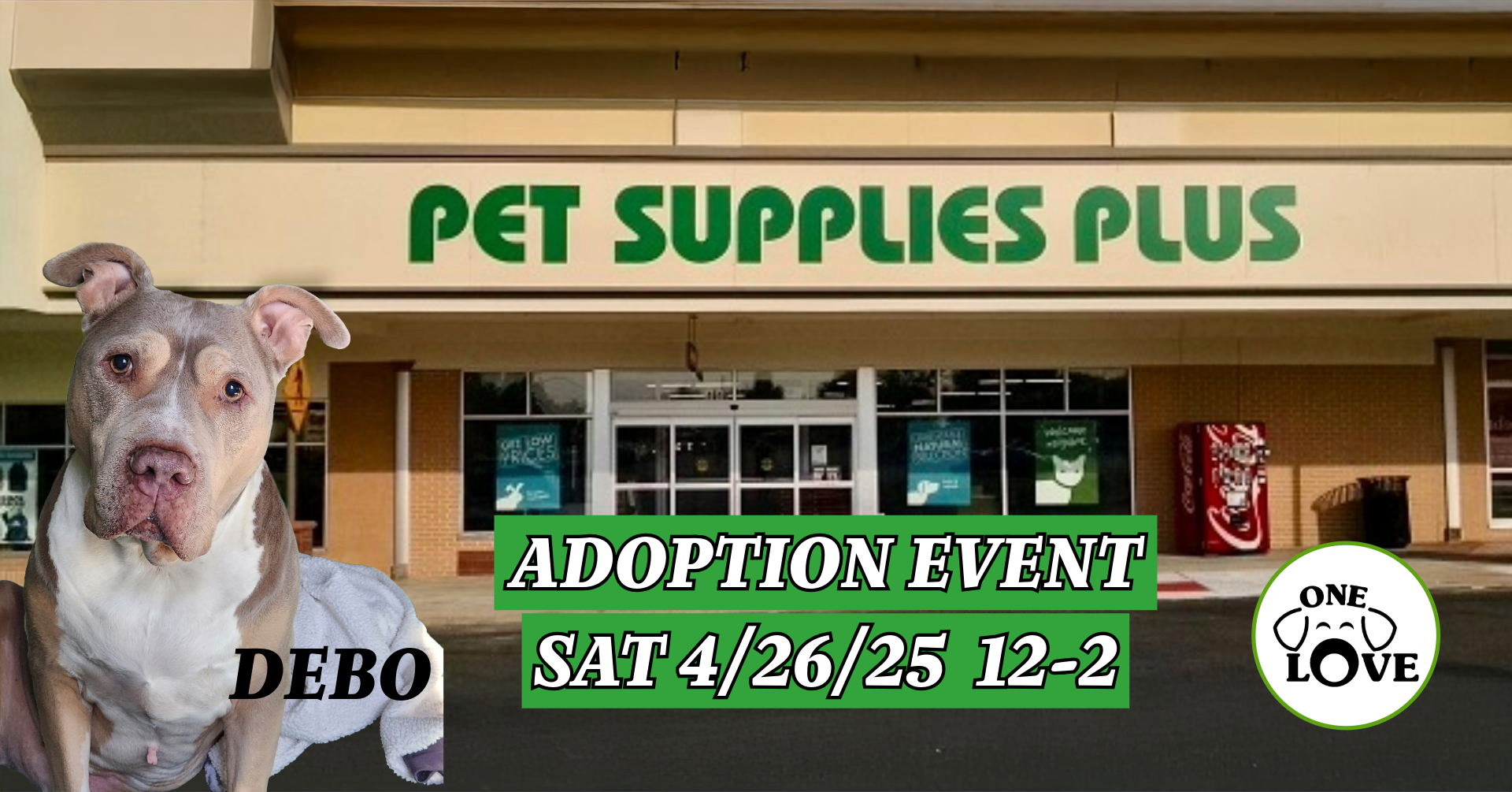 ONE LOVE ANIMAL RESCUE ADOPTION EVENT AT PSP 4/26/25 12-2