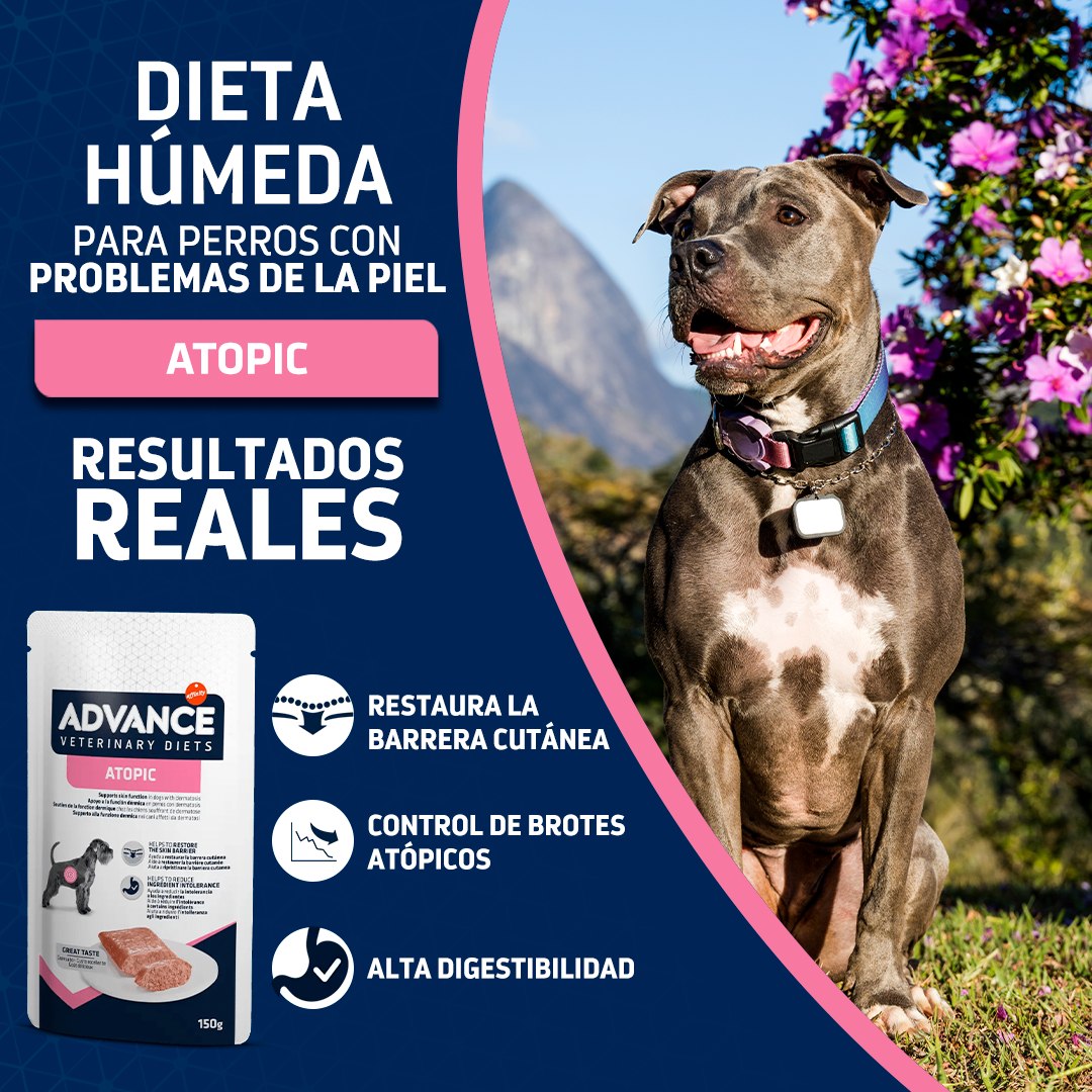 Advance - 🐶💙 ADVANCE Atopic – Dieta Húmeda El mejor aliado para perros ...