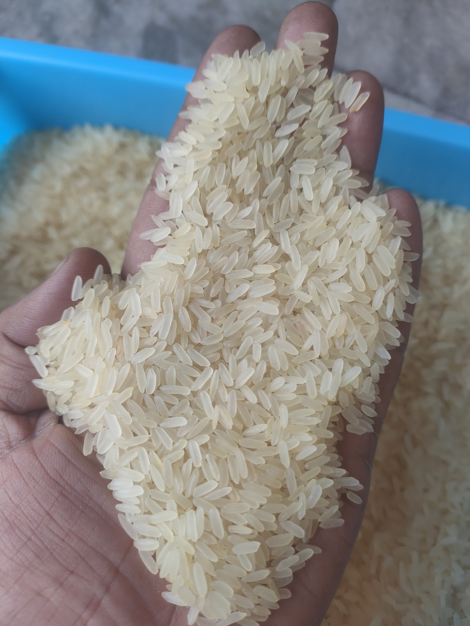 SunGold Fresh - Long Grain Rice | Delhi