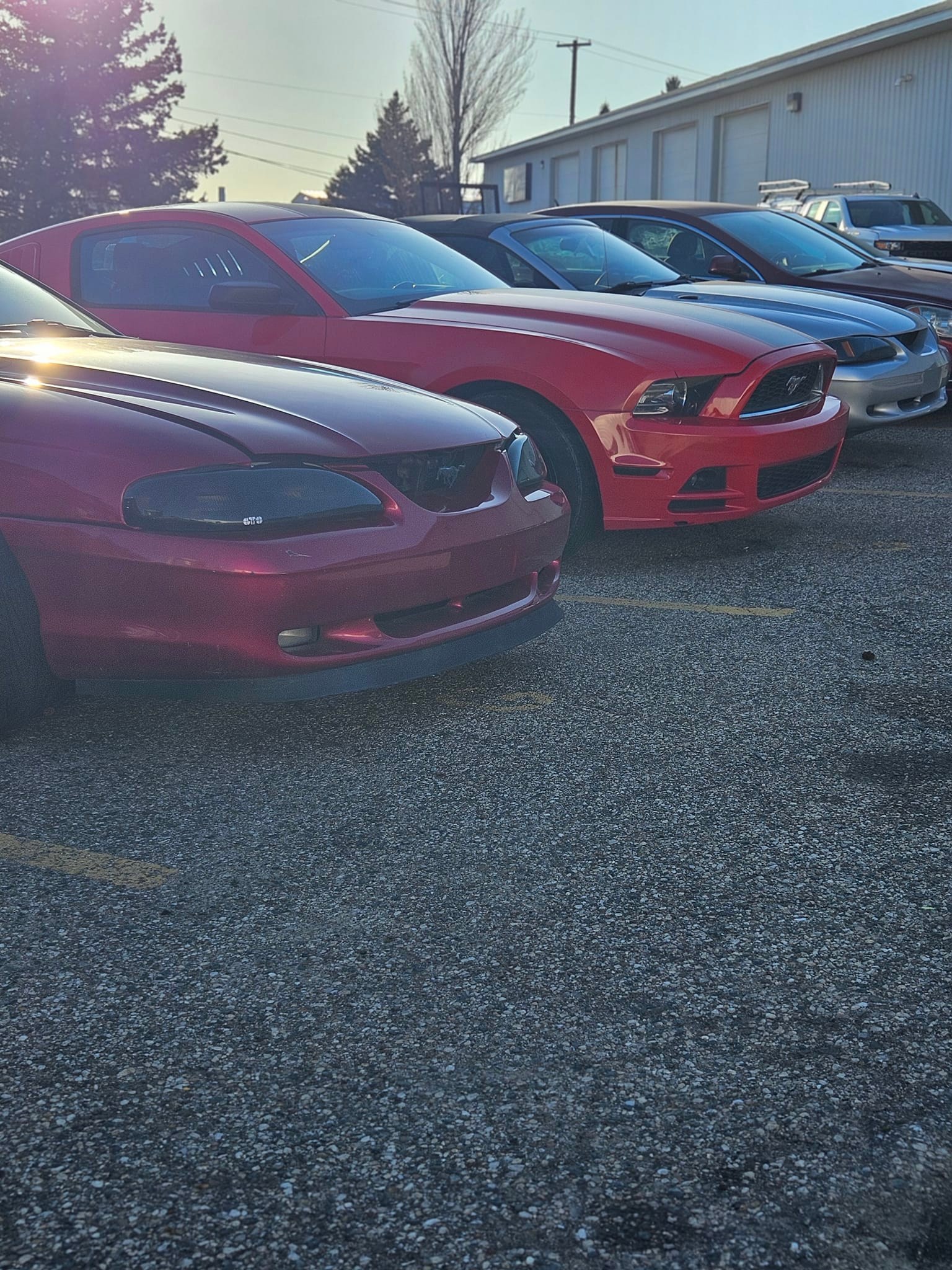 Powered Performance LLC | Jenison MI