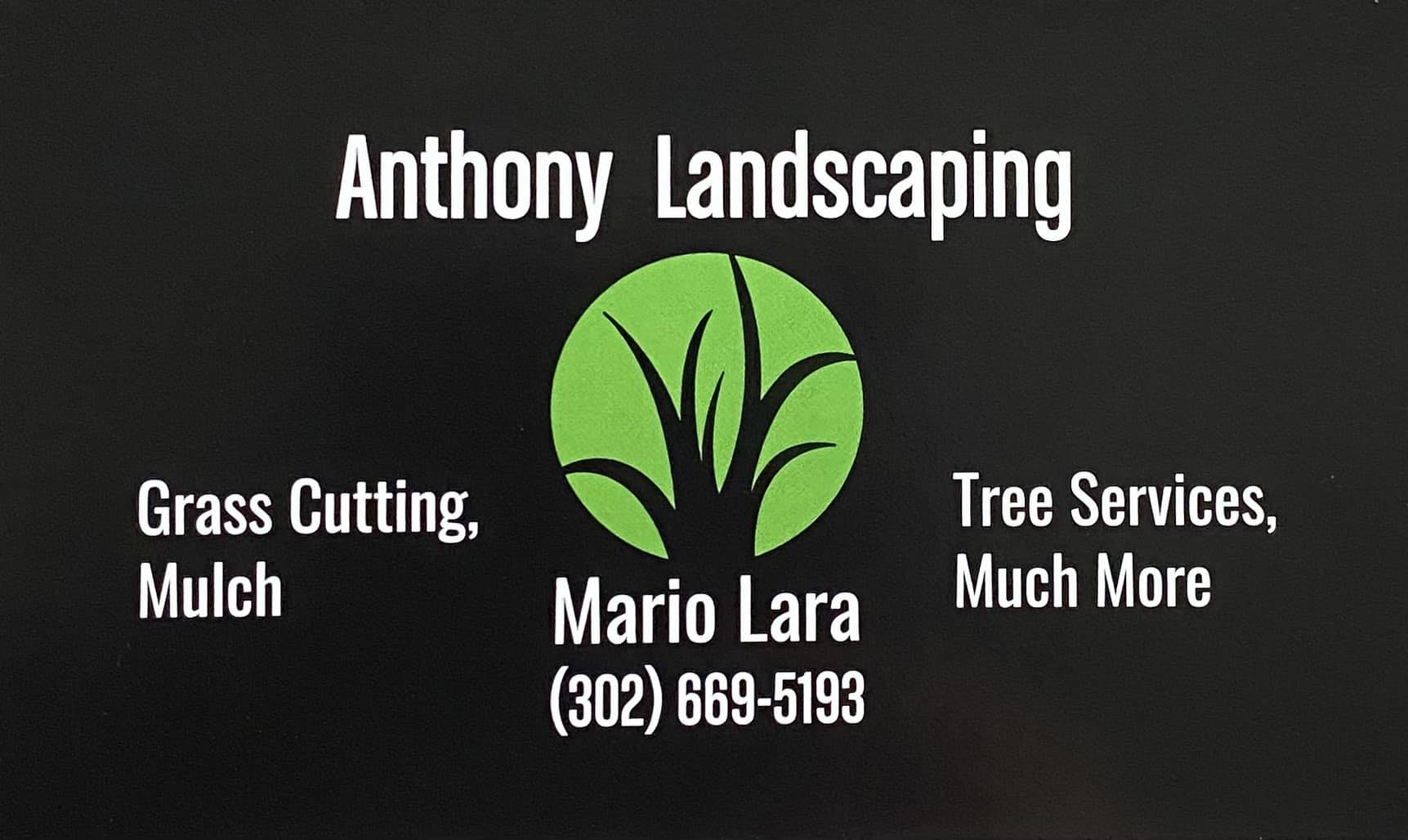 Anthony Landscaping & Tree Services | Wilmington DE
