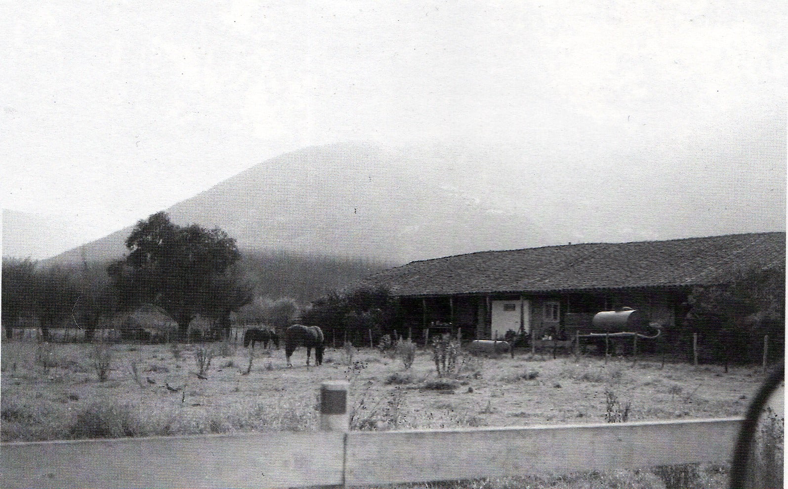 Historia de Coltauco
