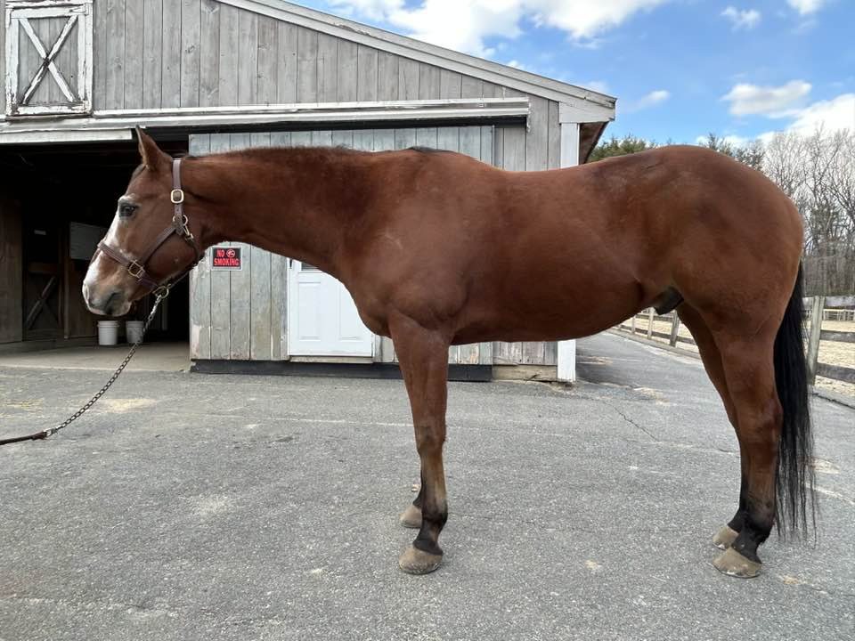 Spring Tide Farm | Boxford MA