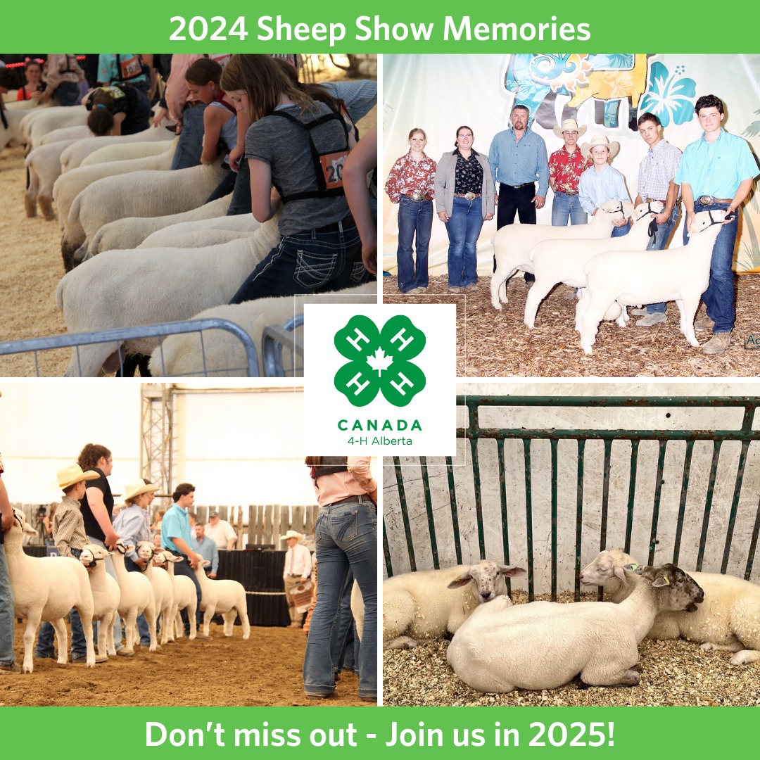 Saskatchewan Sheep Development Board - North West Region | Facebook