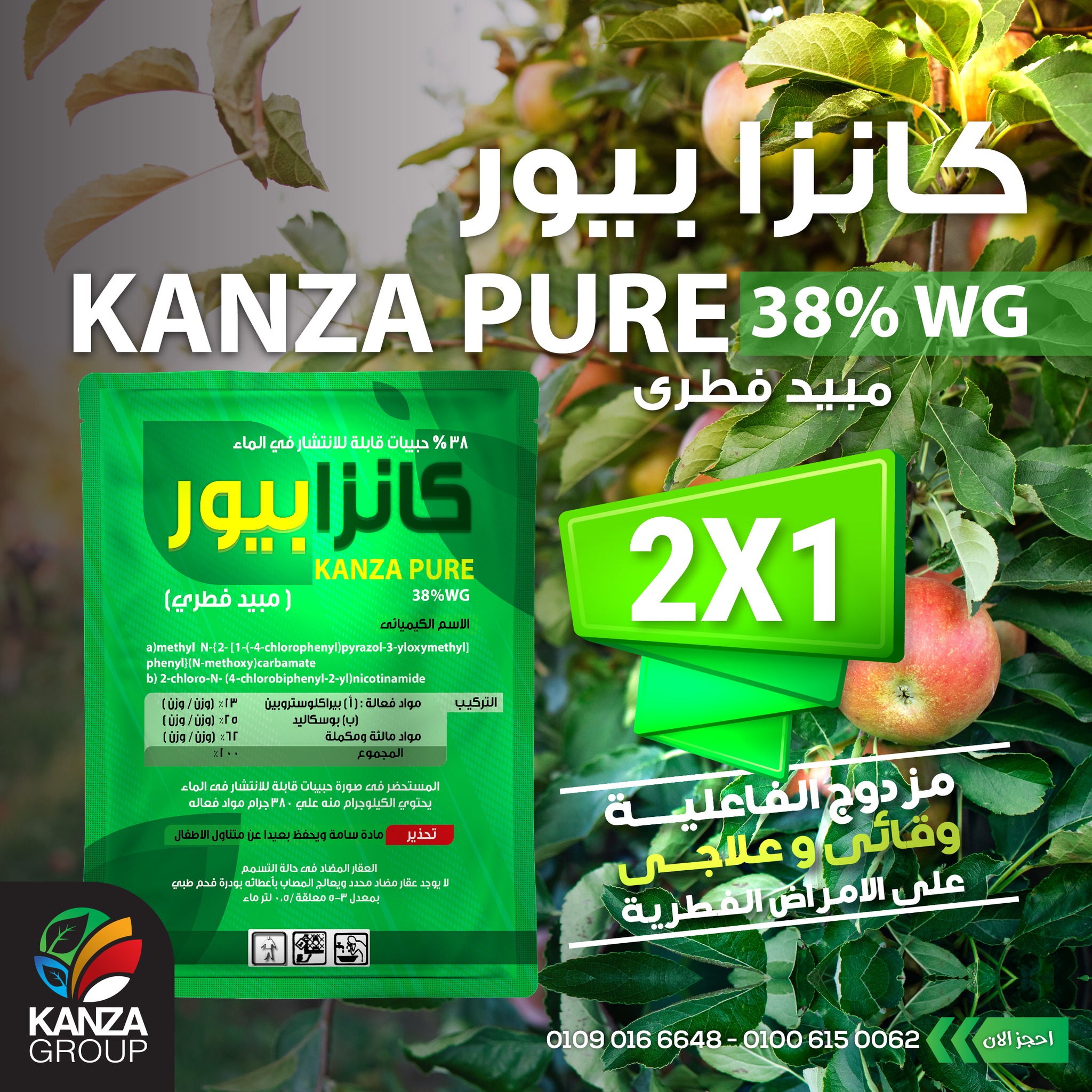Kanza Group | Cairo