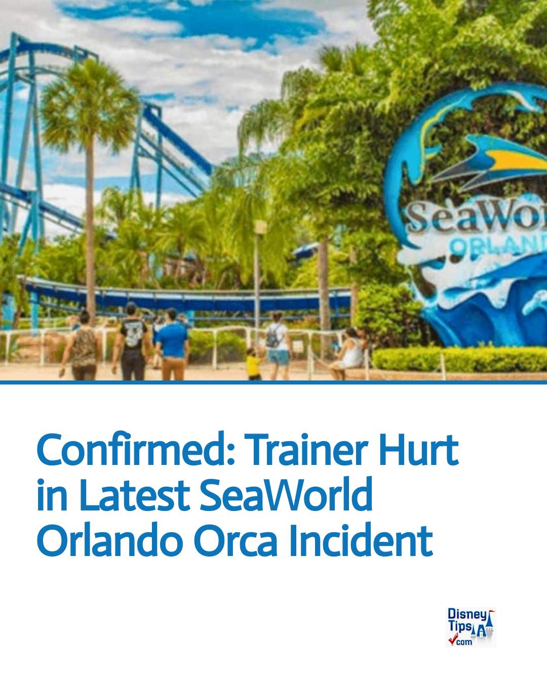 DisneyTips - Confirmed: Trainer Hurt in Latest SeaWorld Orlando Orca ...