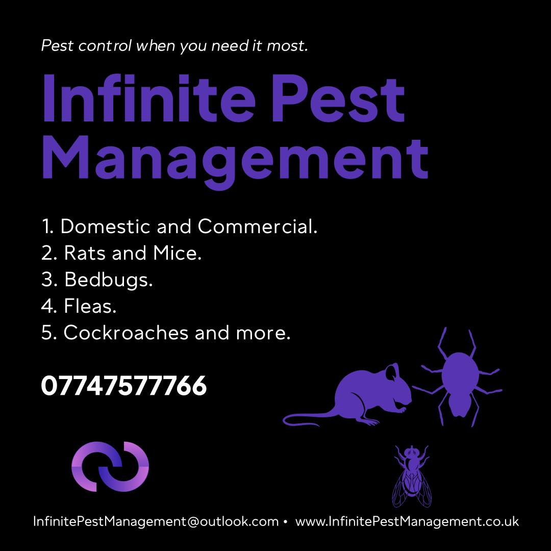 Infinite Pest Management | Birmingham