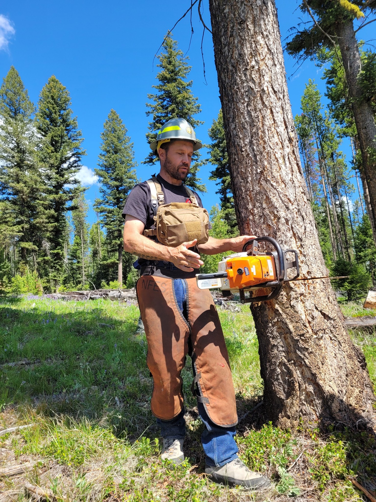 Montana DNRC | Helena MT