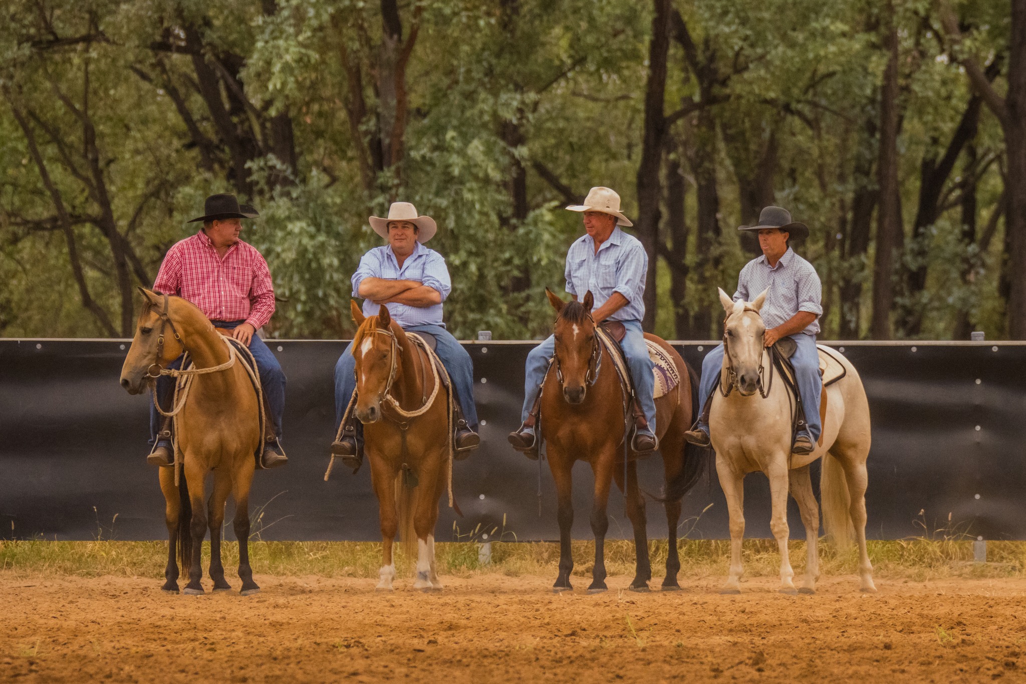 Tooloombilla Rodeo and... - Tooloombilla Rodeo and Campdraft
