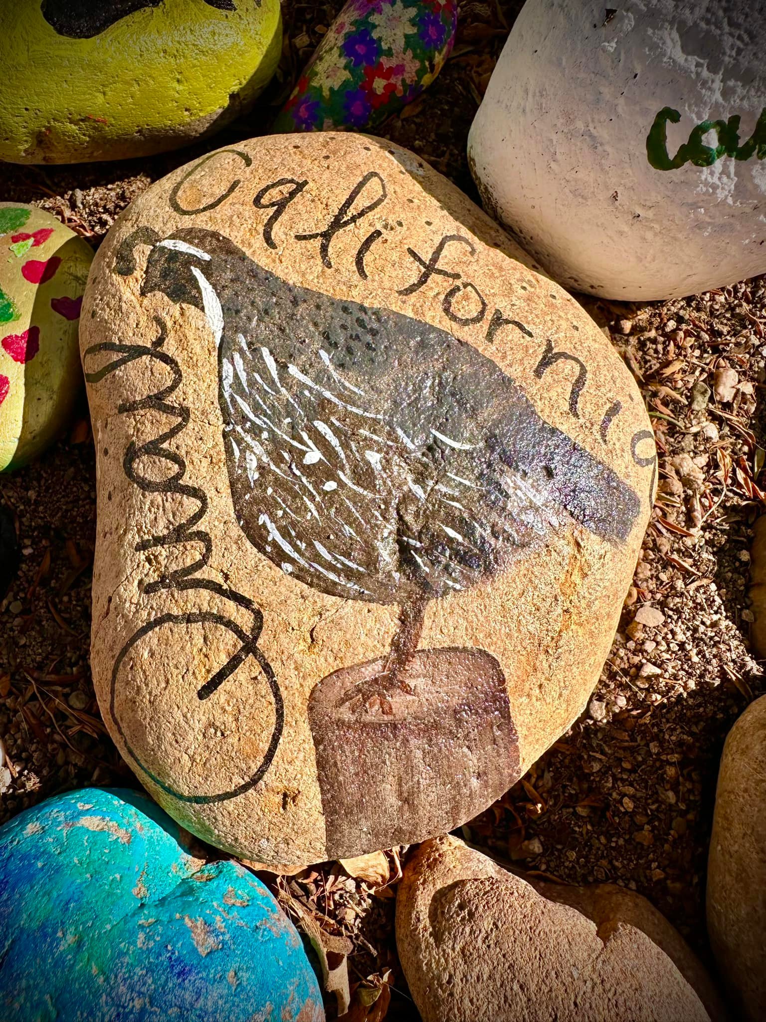 Netarts Rocks, Oregon - Official site for locally hand painted rocks ...