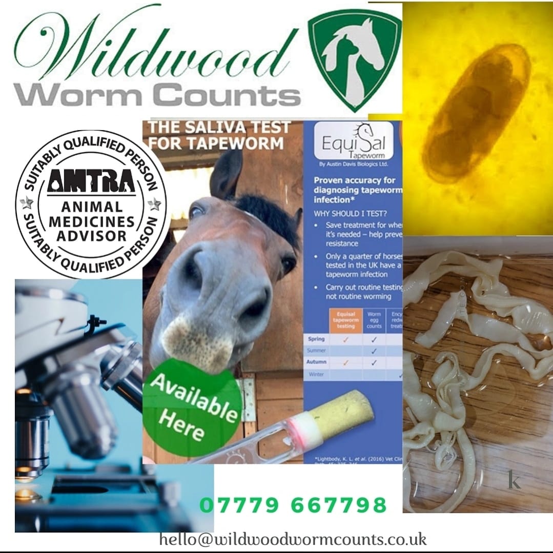 Wildwood - 🍂Autumn testing now is the time🐴🪱🔬🍂 Contact us for your yard ...