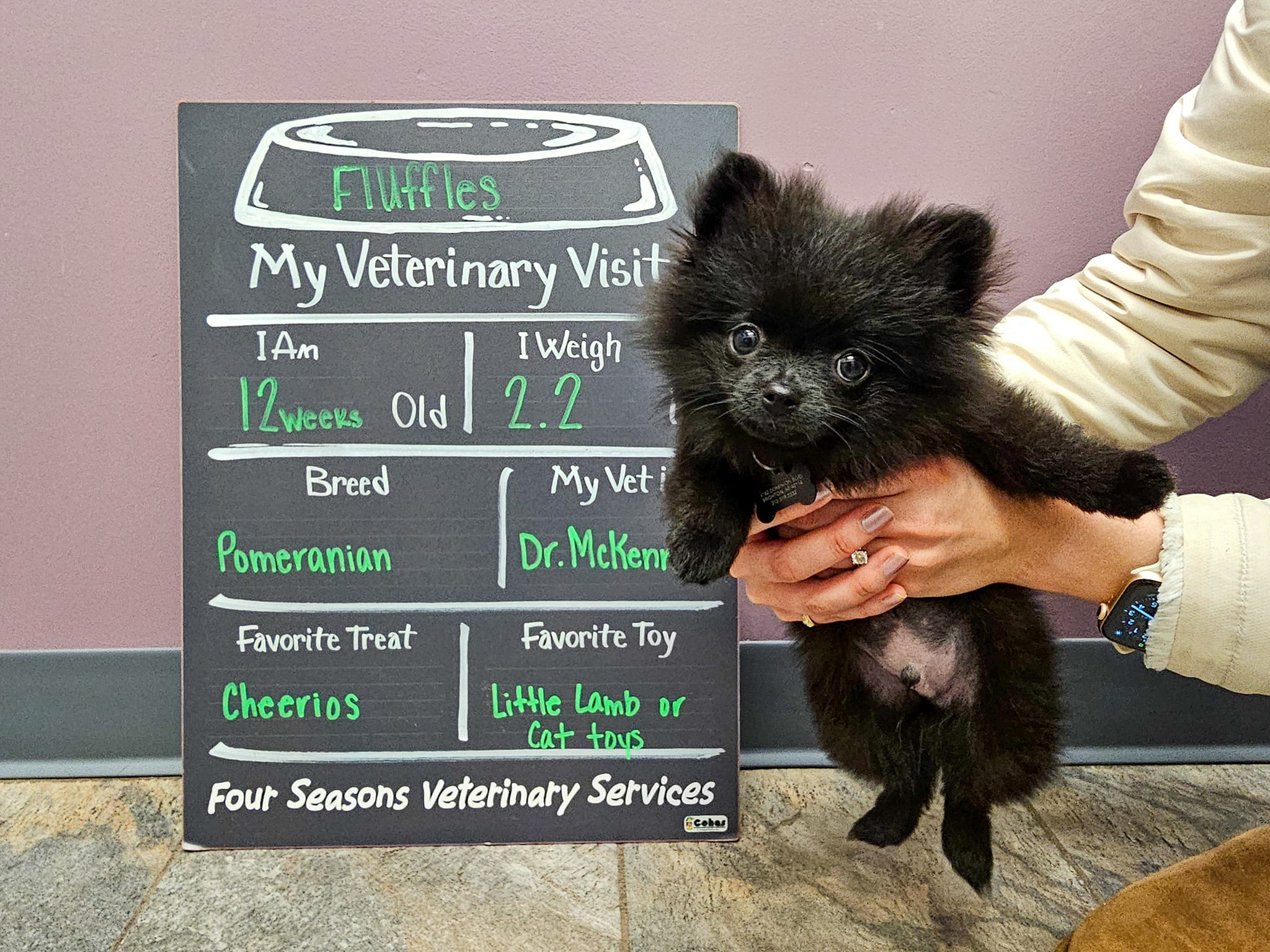 Four - Welcome to Four Seasons, Fluffles 😍 | Facebook
