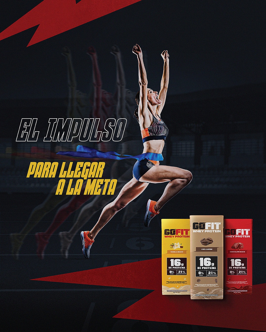 Gofit Whey Protein