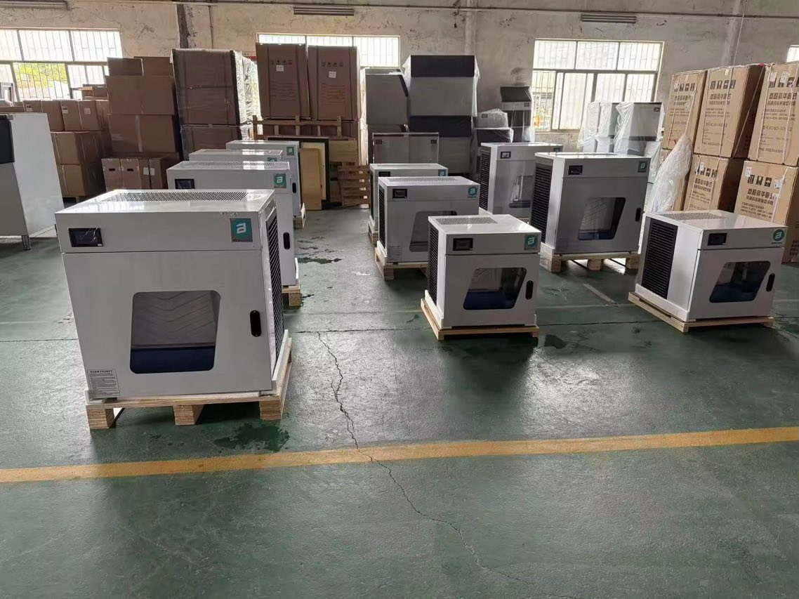 AE Machines PH Ice & Vending Business Solutions | Dauis