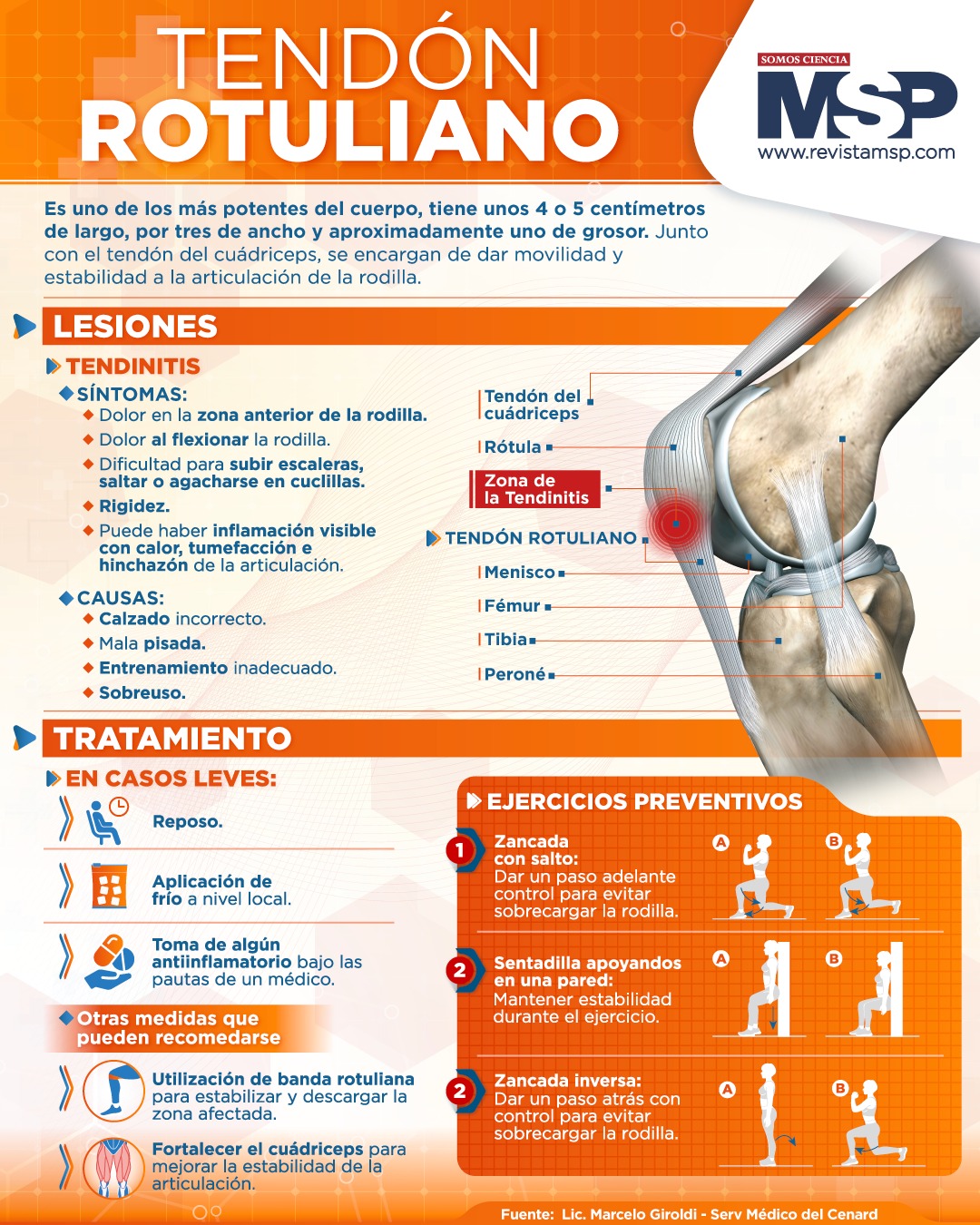 Revista - #InfografíaMSP La tendinitis rotuliana puede originarse por ...